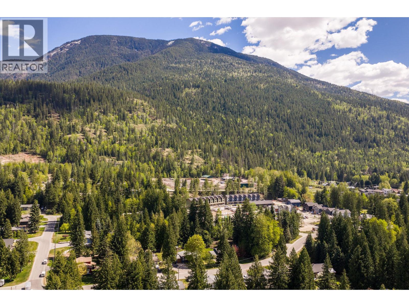 1587 Pratico Road, Revelstoke, British Columbia  V0E 2S1 - Photo 49 - 10395967