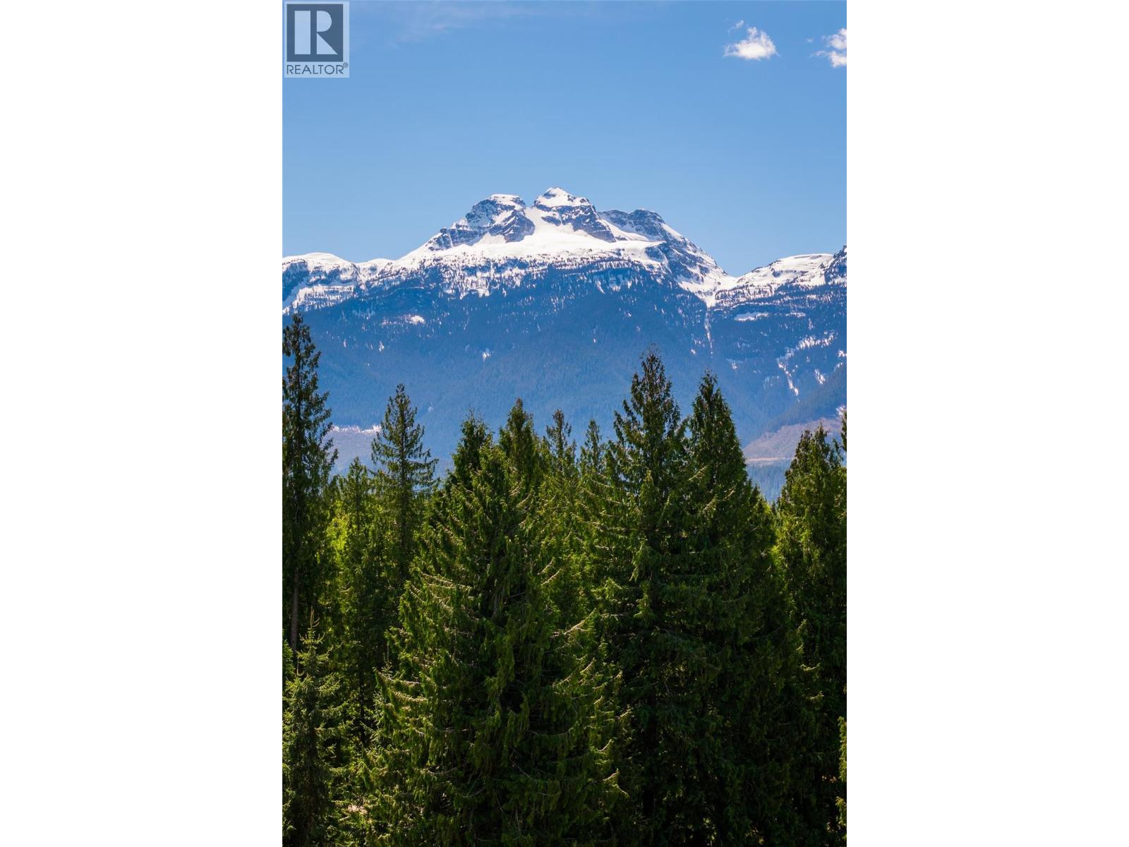 1587 Pratico Road, Revelstoke, British Columbia  V0E 2S1 - Photo 55 - 10395967