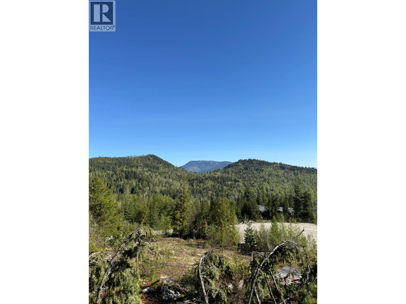 Lot C Richie Road, Rossland, British Columbia  V0G 1Y0 - Photo 10 - 10396602