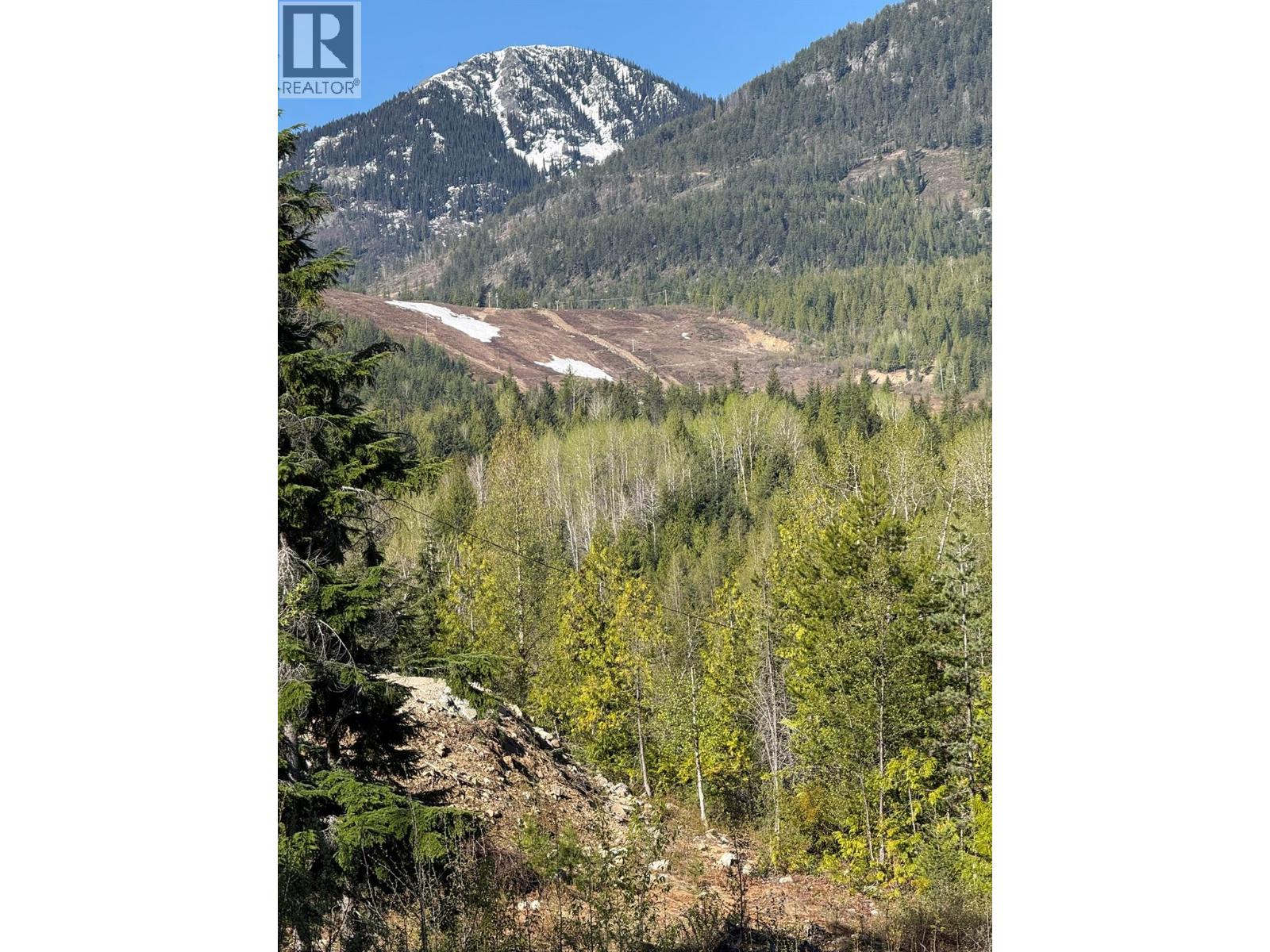 Lot C Richie Road, Rossland, British Columbia  V0G 1Y0 - Photo 14 - 10396602