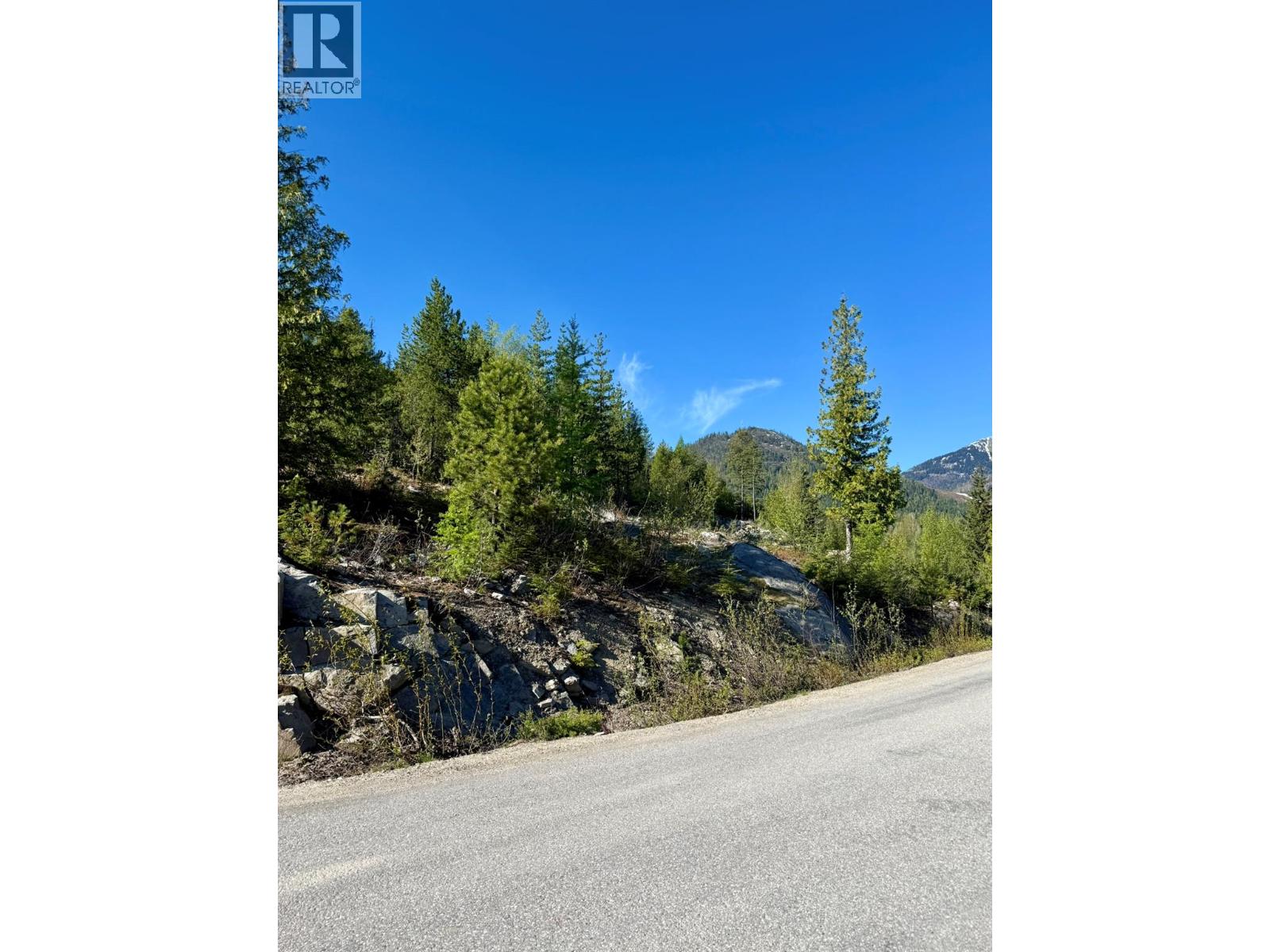 Lot C Richie Road, Rossland, British Columbia  V0G 1Y0 - Photo 16 - 10396602