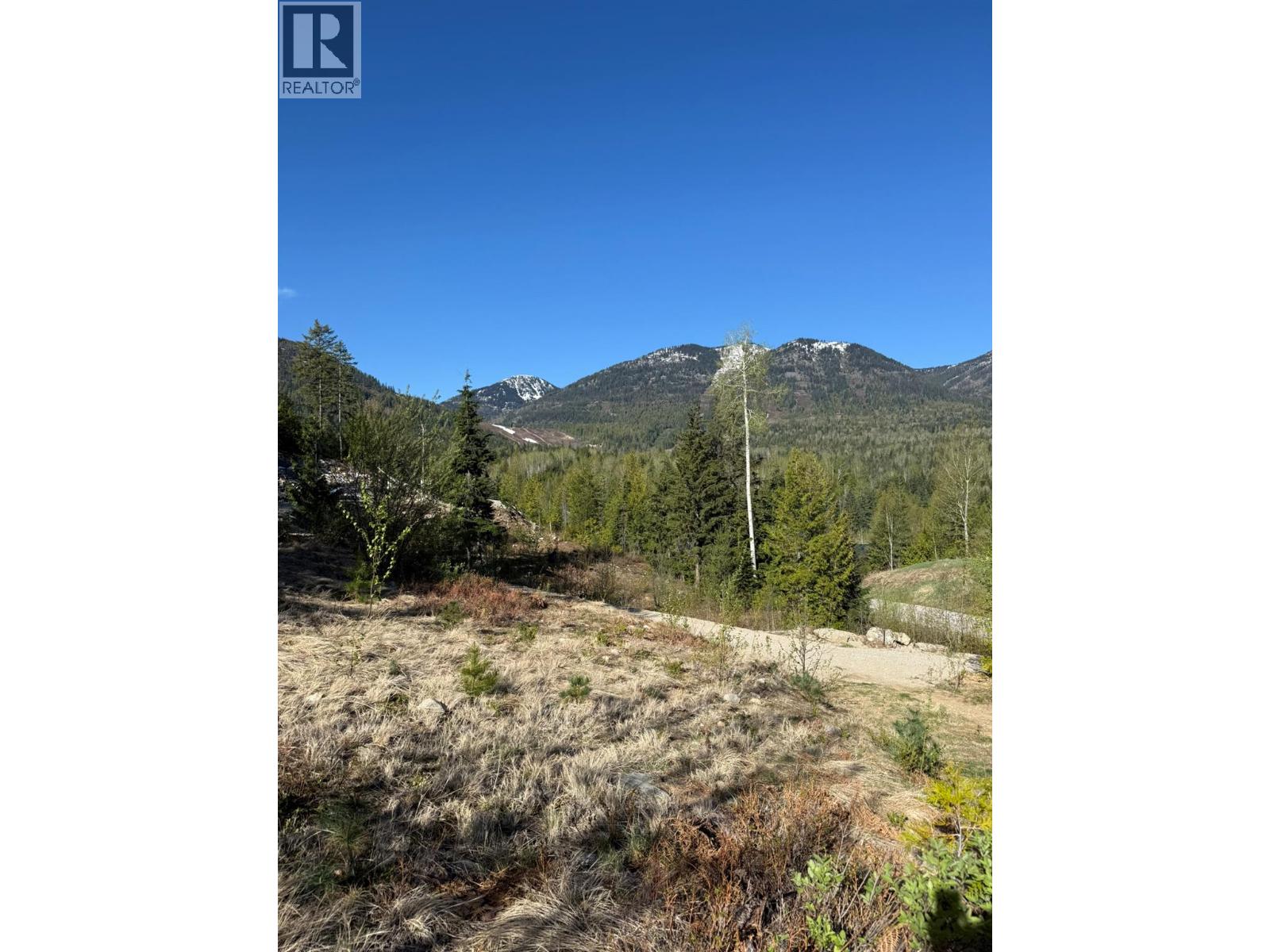 Lot C Richie Road, Rossland, British Columbia  V0G 1Y0 - Photo 2 - 10396602
