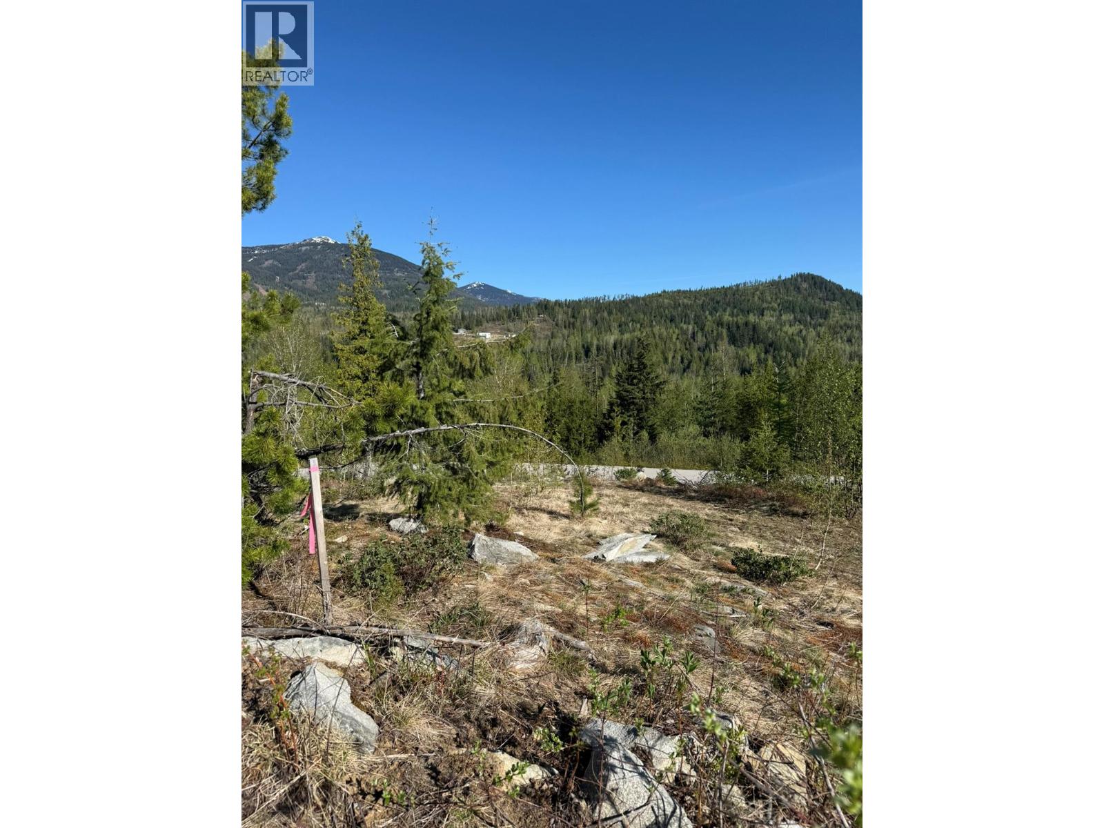 Lot C Richie Road, Rossland, British Columbia  V0G 1Y0 - Photo 4 - 10396602