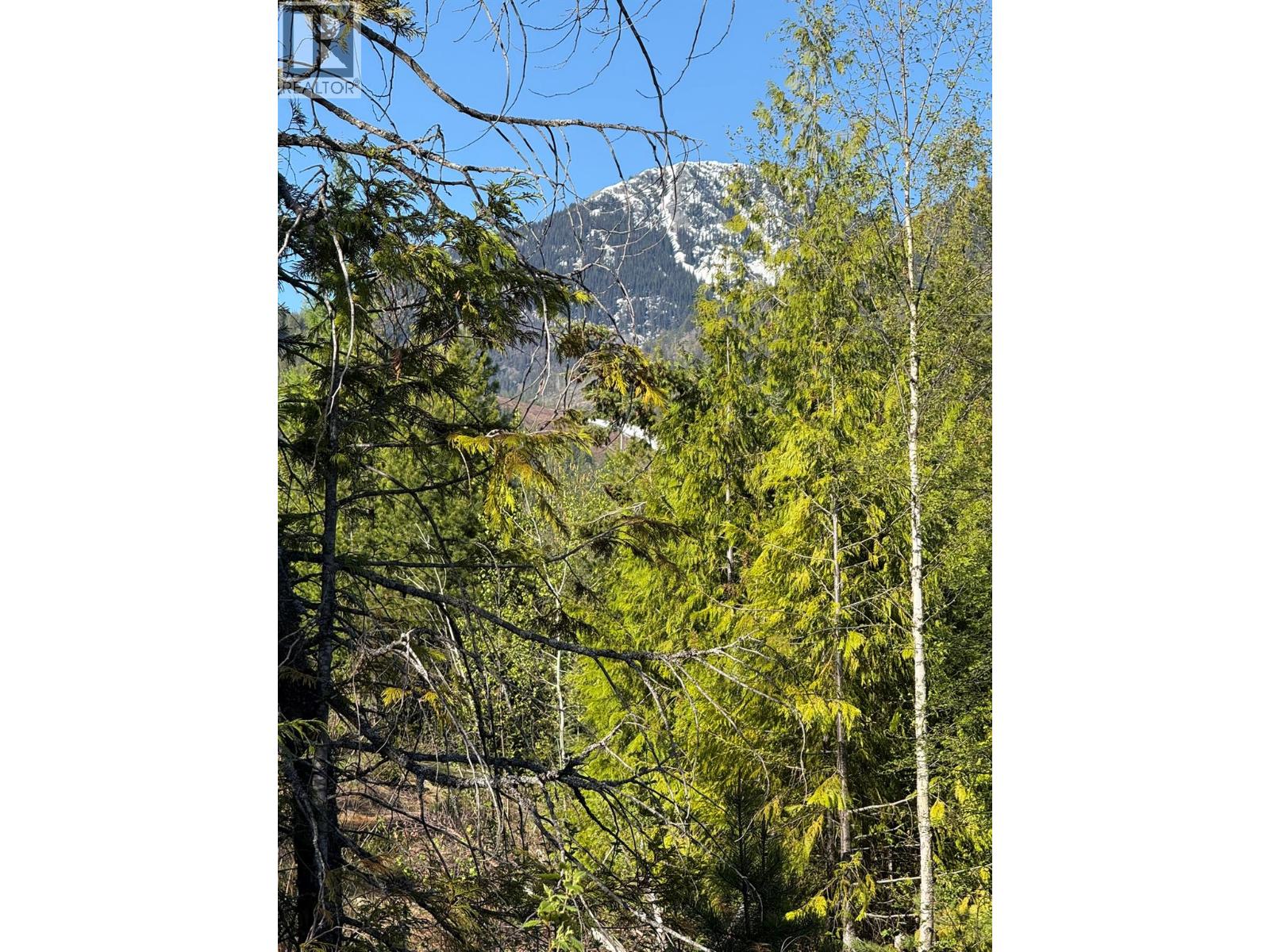 Lot C Richie Road, Rossland, British Columbia  V0G 1Y0 - Photo 5 - 10396602