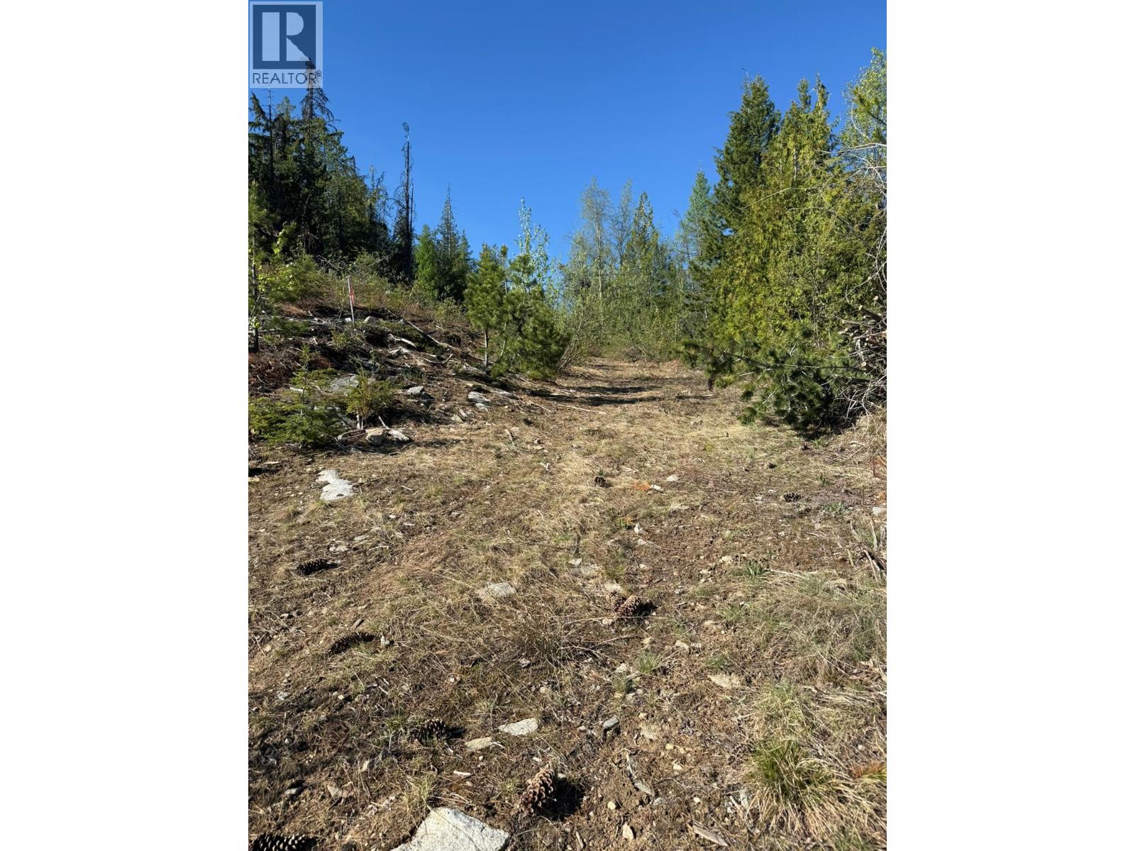 Lot C Richie Road, Rossland, British Columbia  V0G 1Y0 - Photo 6 - 10396602