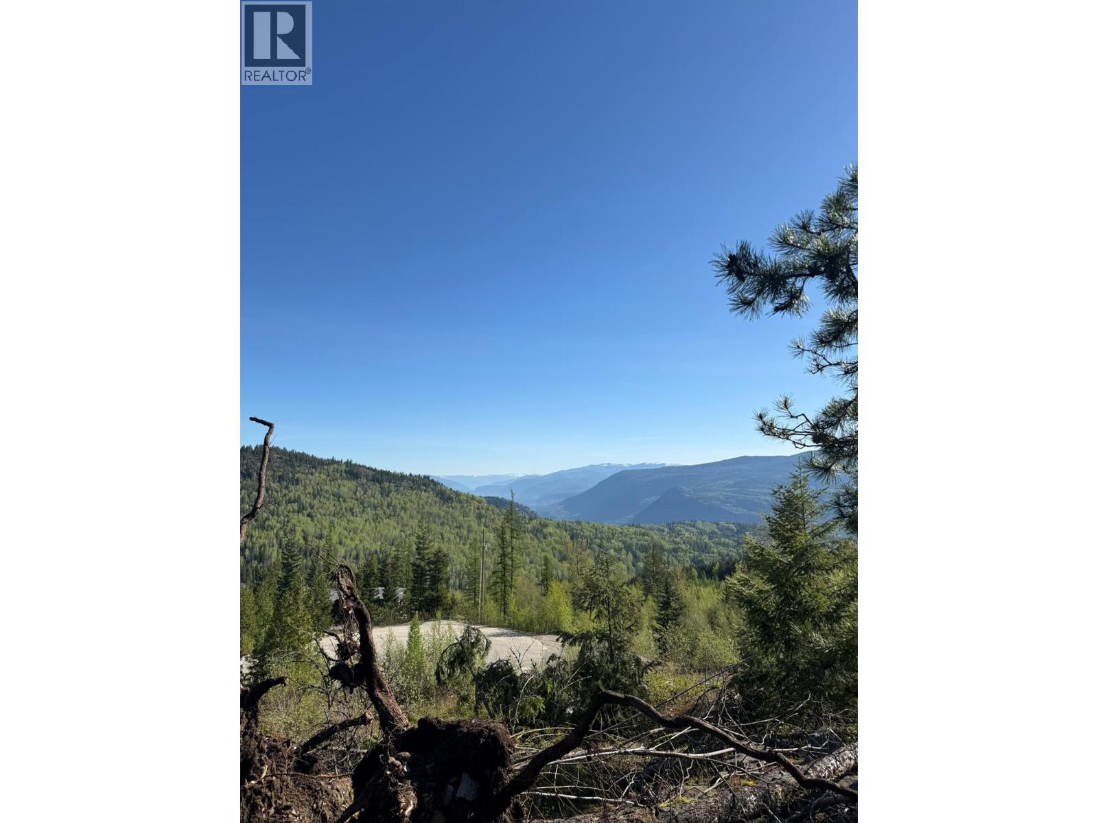 Lot C Richie Road, Rossland, British Columbia  V0G 1Y0 - Photo 8 - 10396602