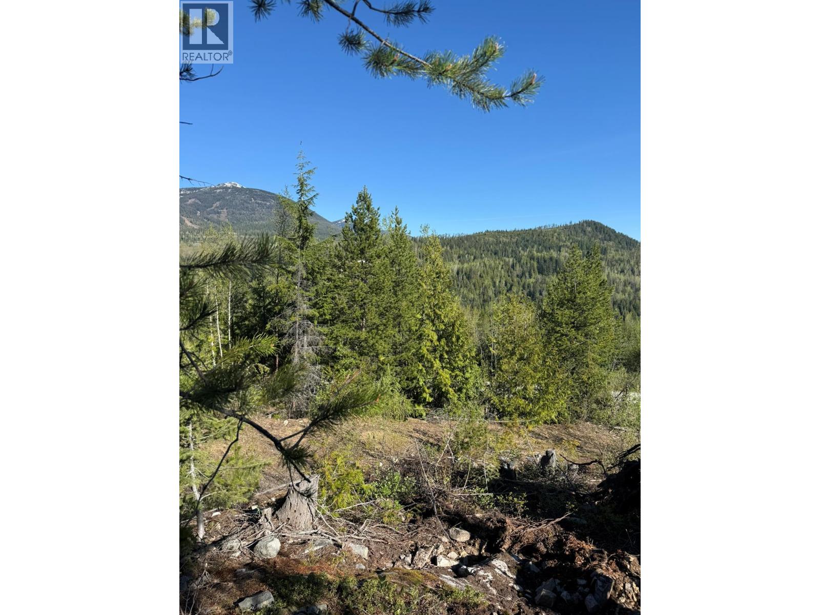 Lot C Richie Road, Rossland, British Columbia  V0G 1Y0 - Photo 9 - 10396602