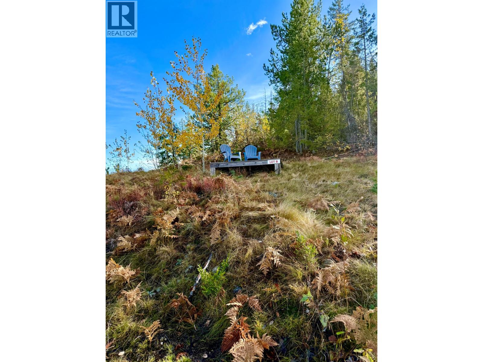 311 Richie Road, Rossland, British Columbia  V0G 1Y0 - Photo 2 - 10395159