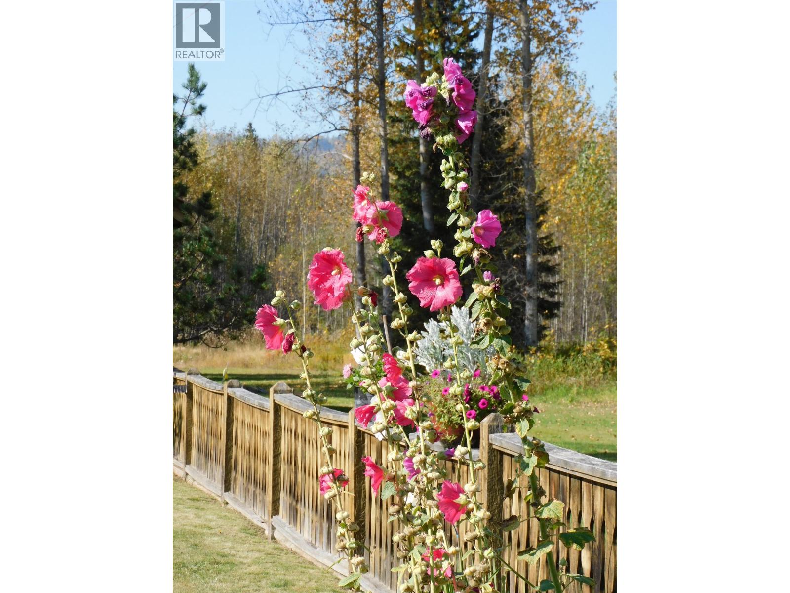 5177 Clearwater Valley Road, Clearwater, British Columbia  V0E 1N1 - Photo 23 - 10396625