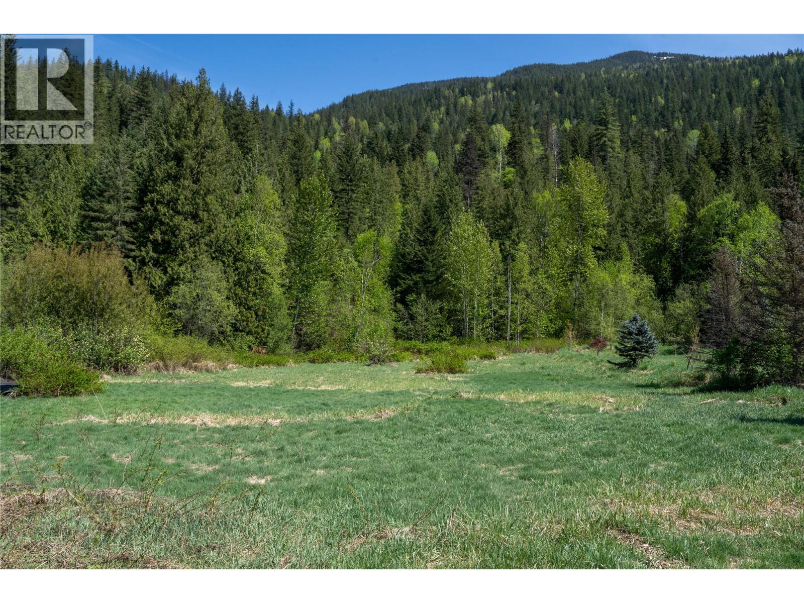 1918 Camozzi Road, Revelstoke, British Columbia  V0E 2S0 - Photo 10 - 10395730