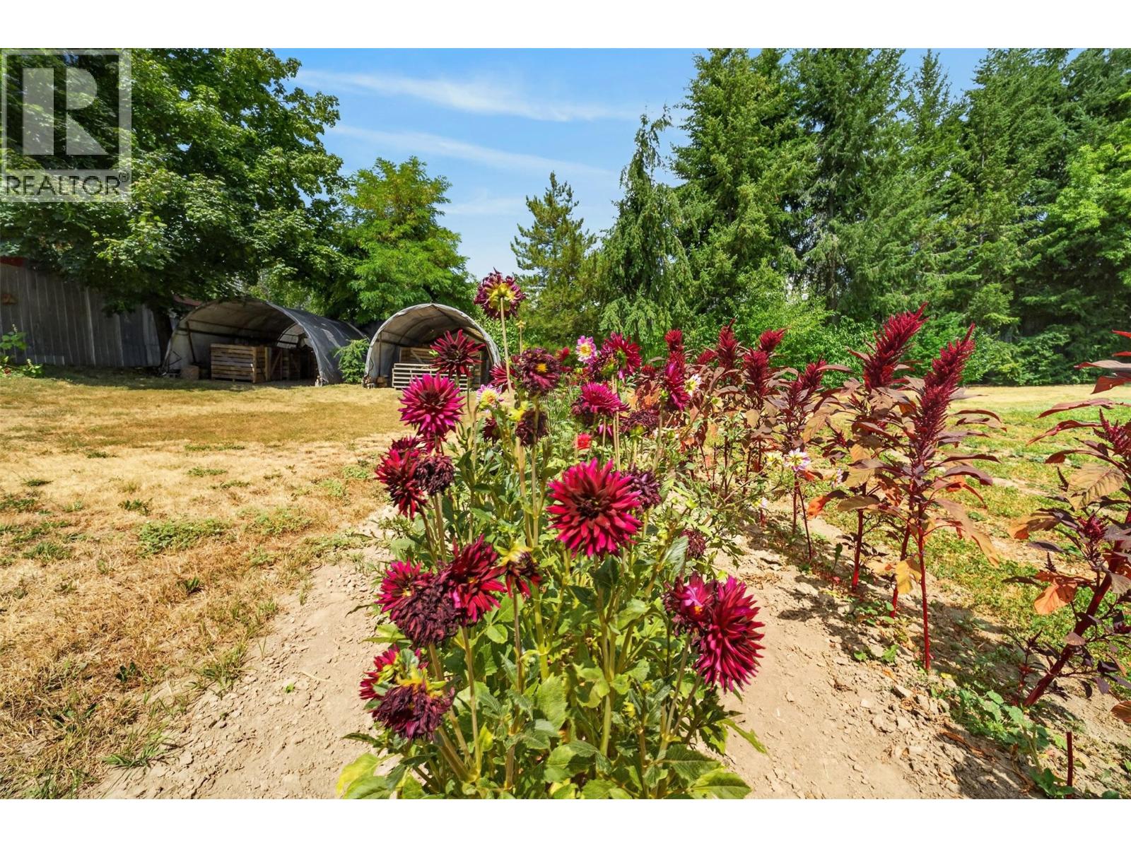 4360 30 Street Ne, Salmon Arm, British Columbia  V1E 2A3 - Photo 63 - 10396680