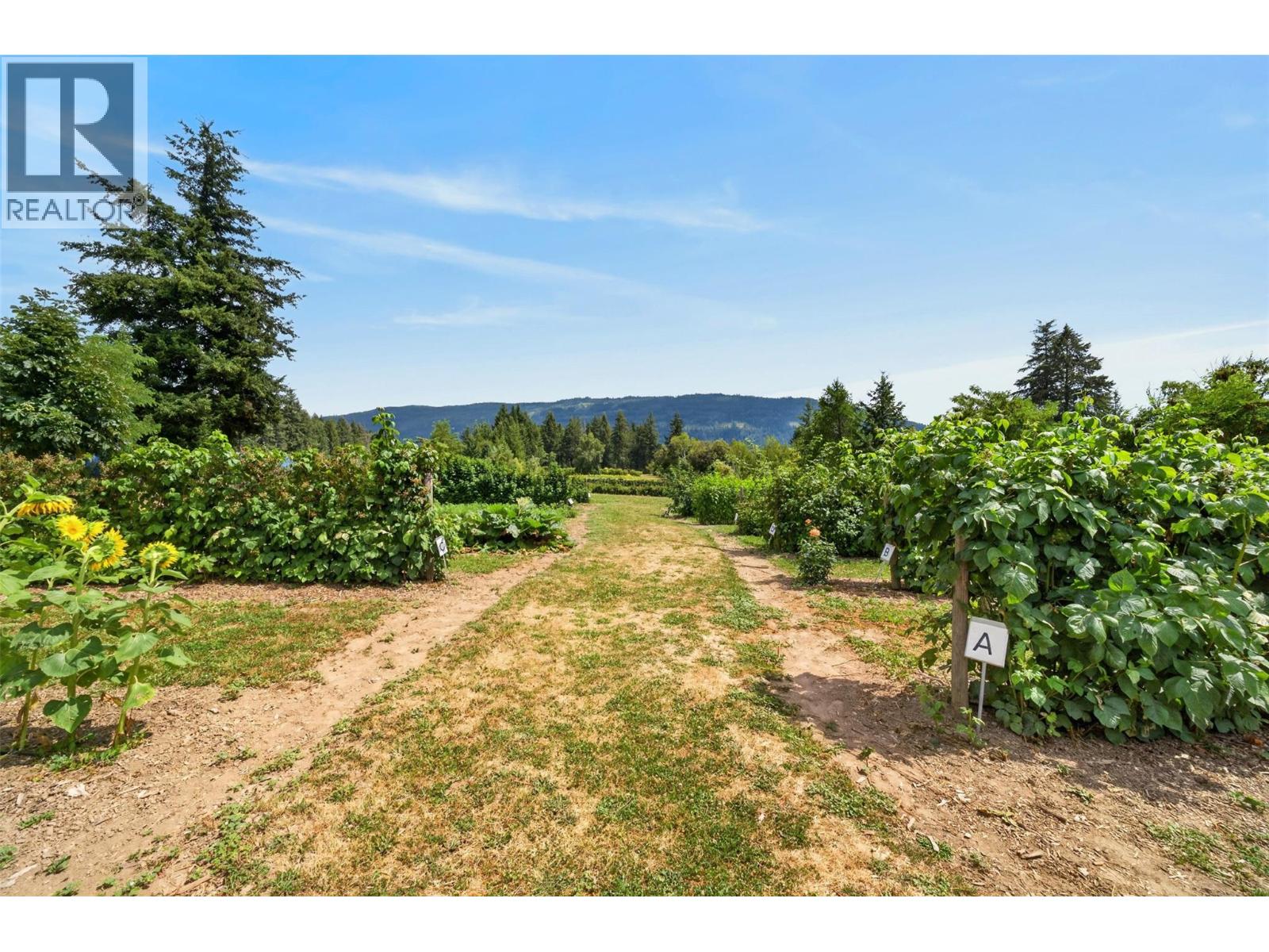 4360 30 Street Ne, Salmon Arm, British Columbia  V1E 2A3 - Photo 65 - 10396680