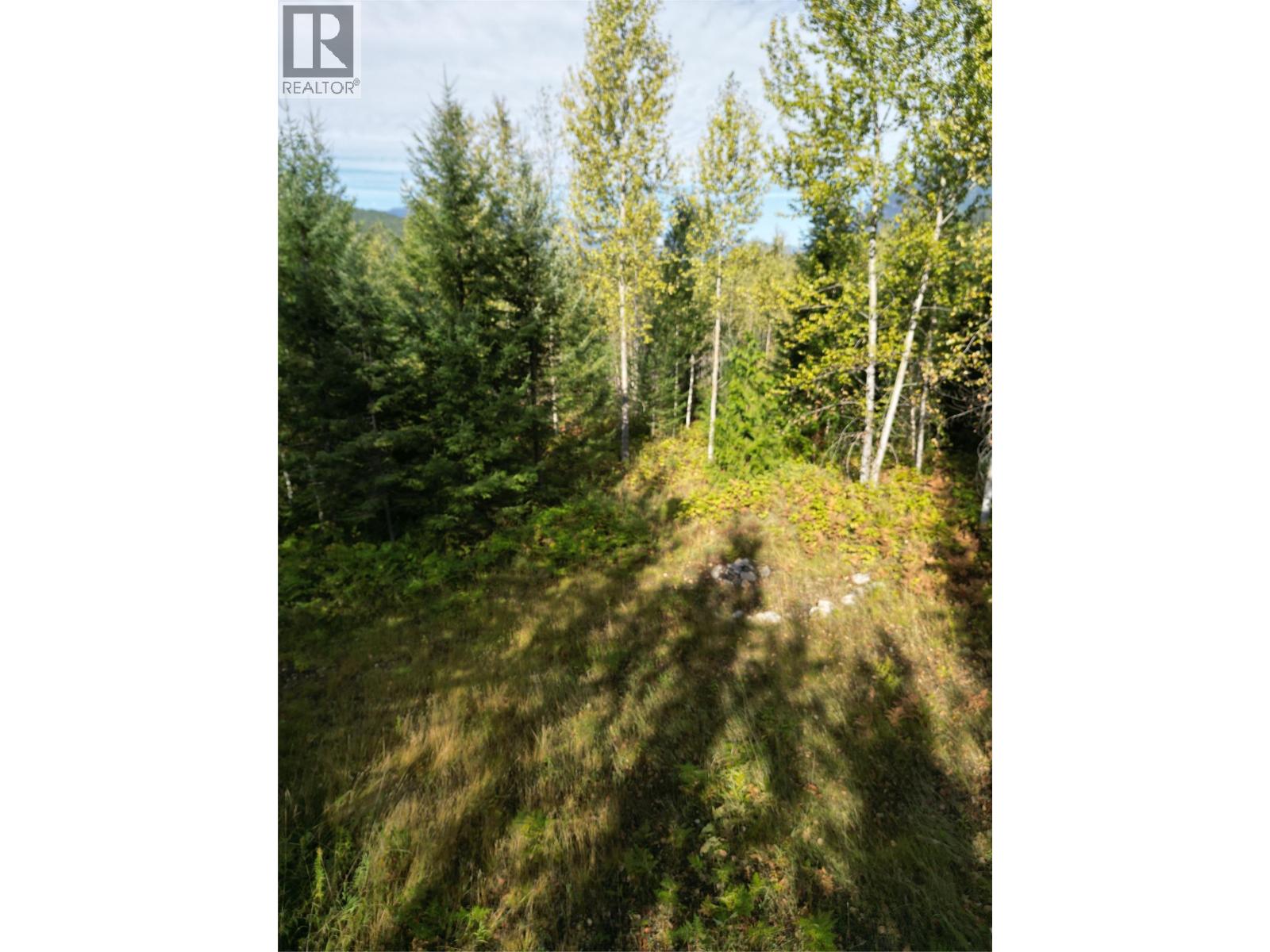 387 Galena Shores Drive, Galena Bay, British Columbia  V0G 1R2 - Photo 14 - 10396237