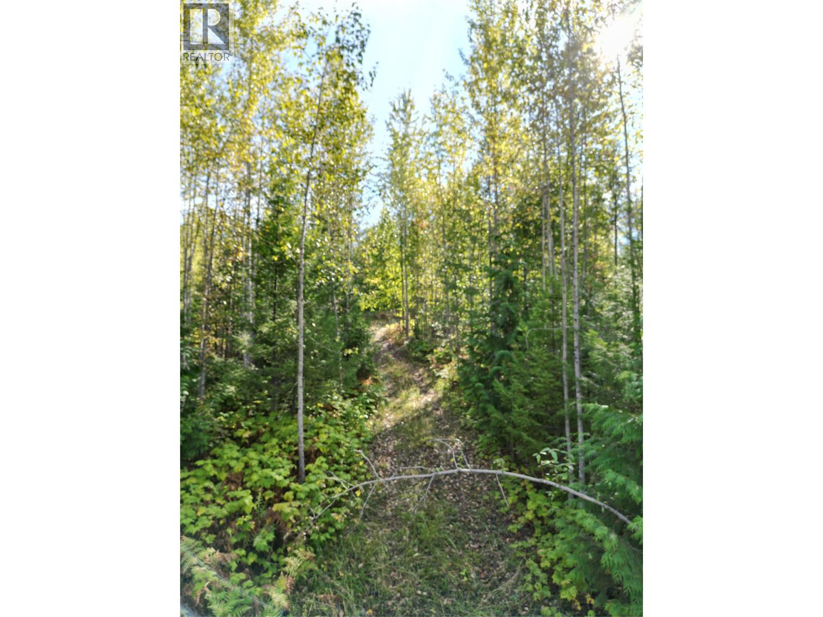 387 Galena Shores Drive, Galena Bay, British Columbia  V0G 1R2 - Photo 16 - 10396237