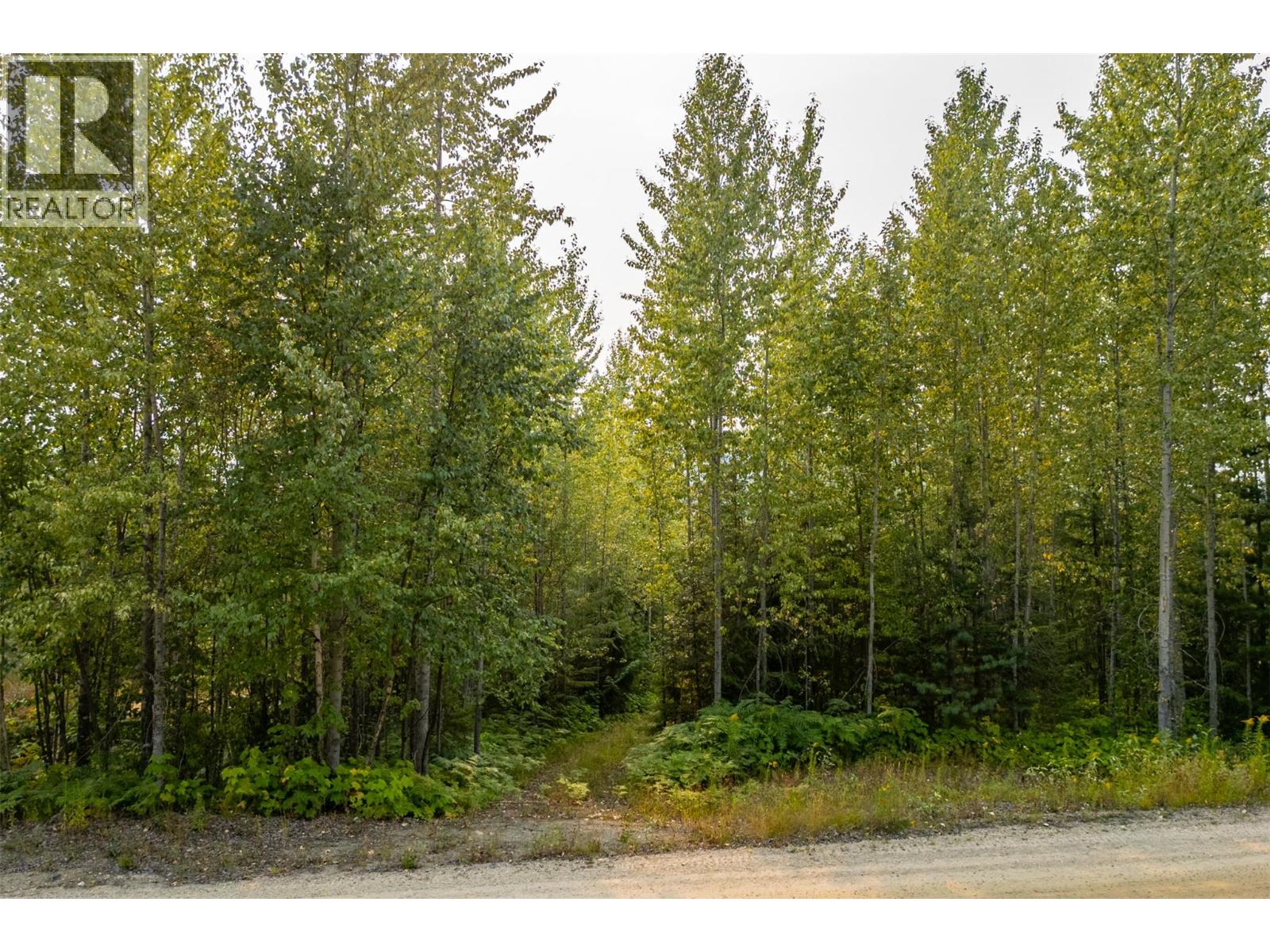 387 Galena Shores Drive, Galena Bay, British Columbia  V0G 1R2 - Photo 9 - 10396237