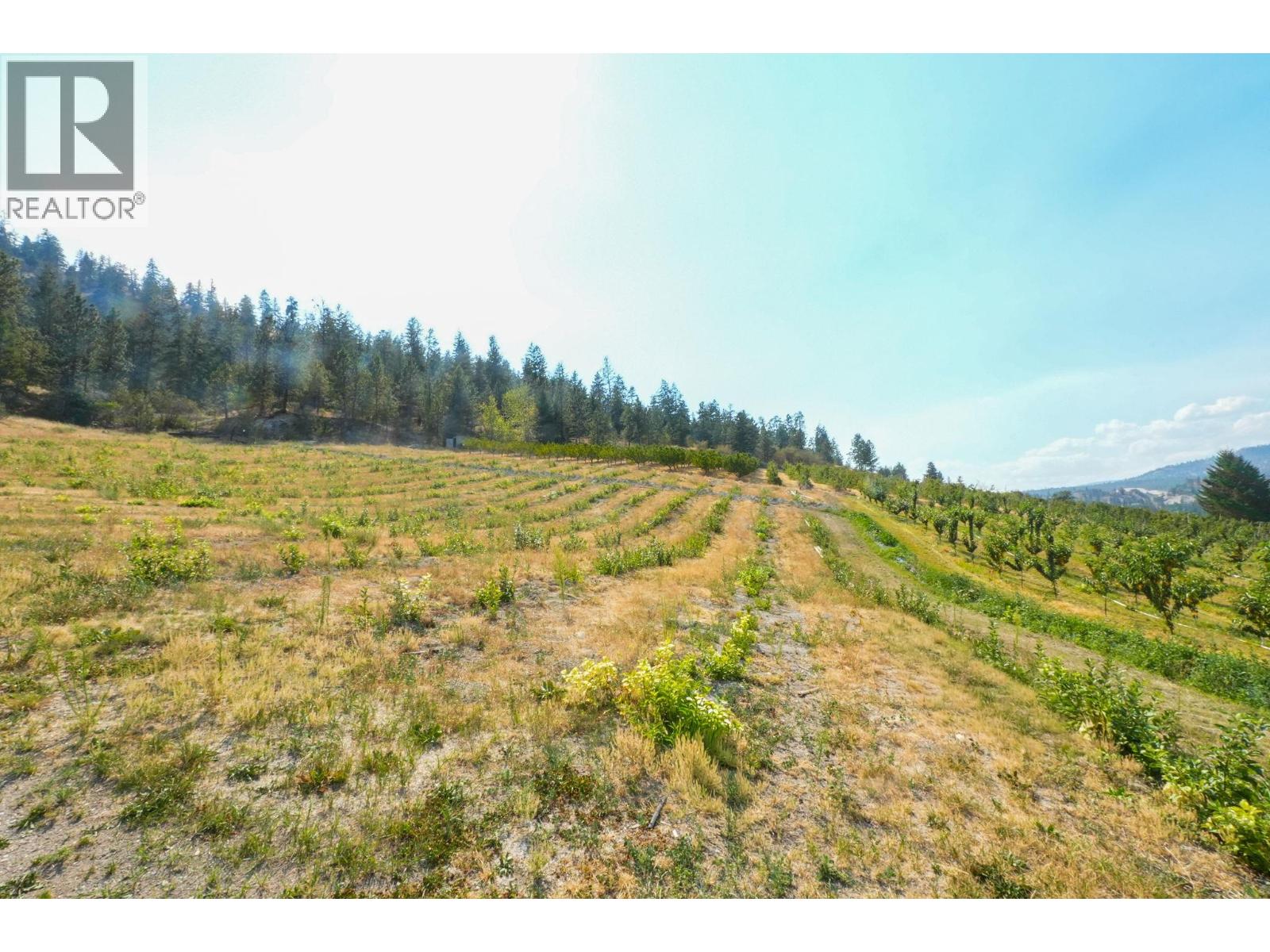 9827 Gillard Avenue, Summerland, British Columbia  V0H 1Z8 - Photo 22 - 10396592
