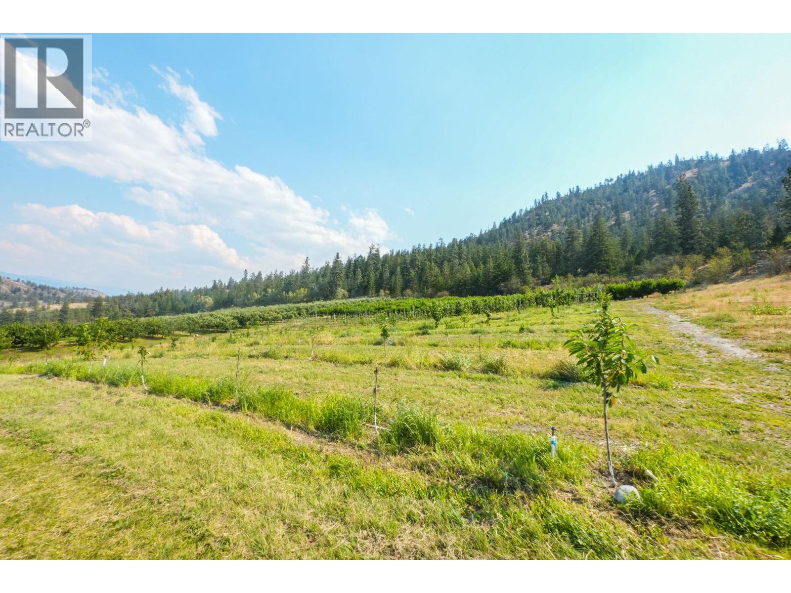 9827 Gillard Avenue, Summerland, British Columbia  V0H 1Z8 - Photo 23 - 10396592