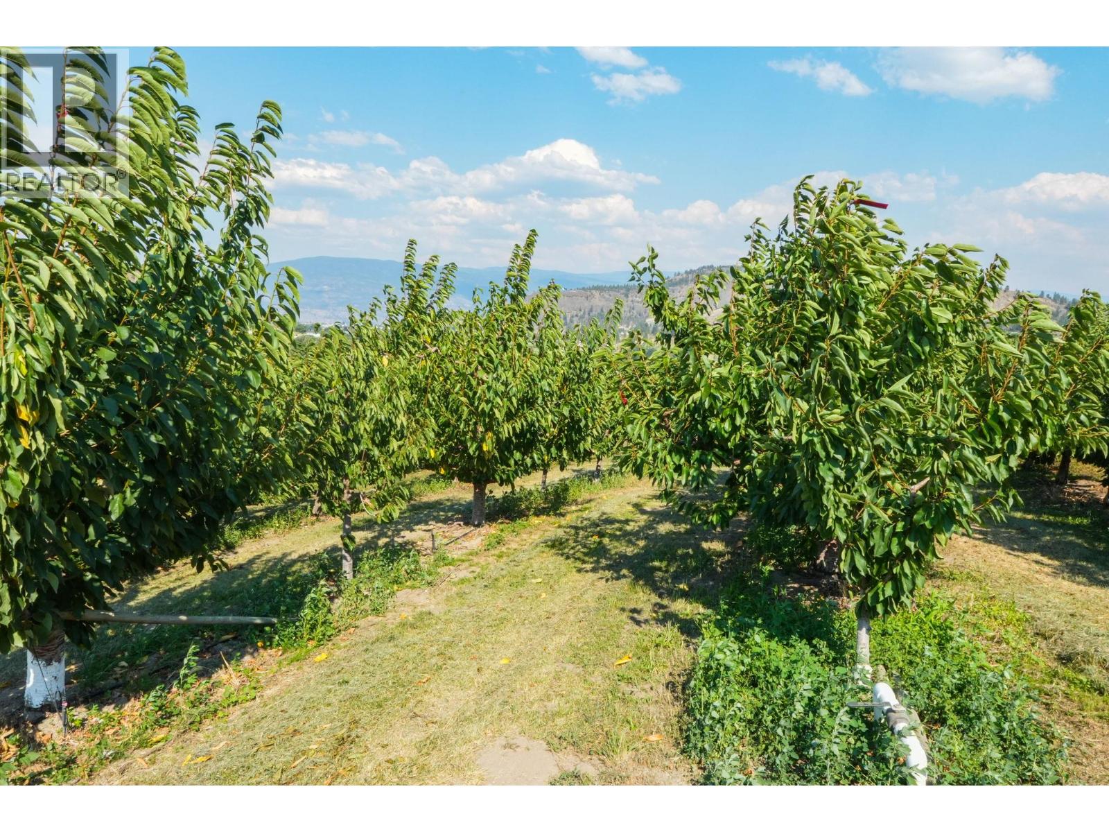9827 Gillard Avenue, Summerland, British Columbia  V0H 1Z8 - Photo 31 - 10396592