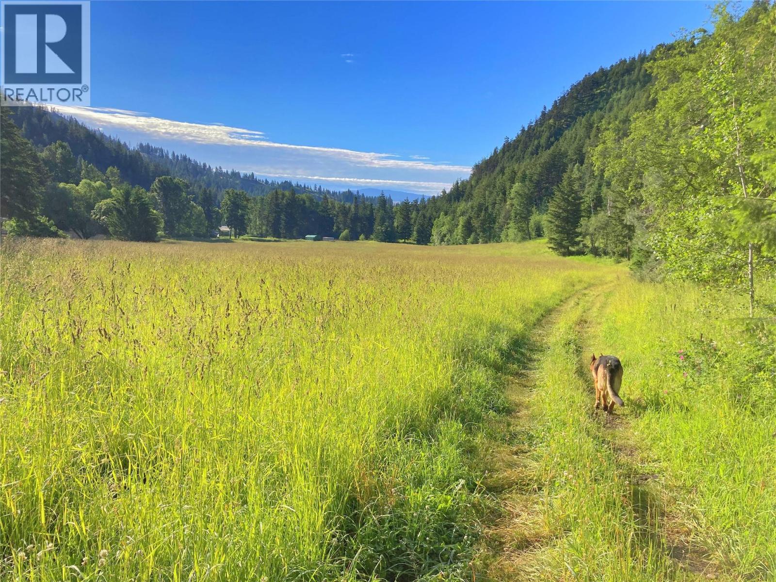 1094 Highway 5a, Princeton, British Columbia  V0X 1W0 - Photo 61 - 10396811