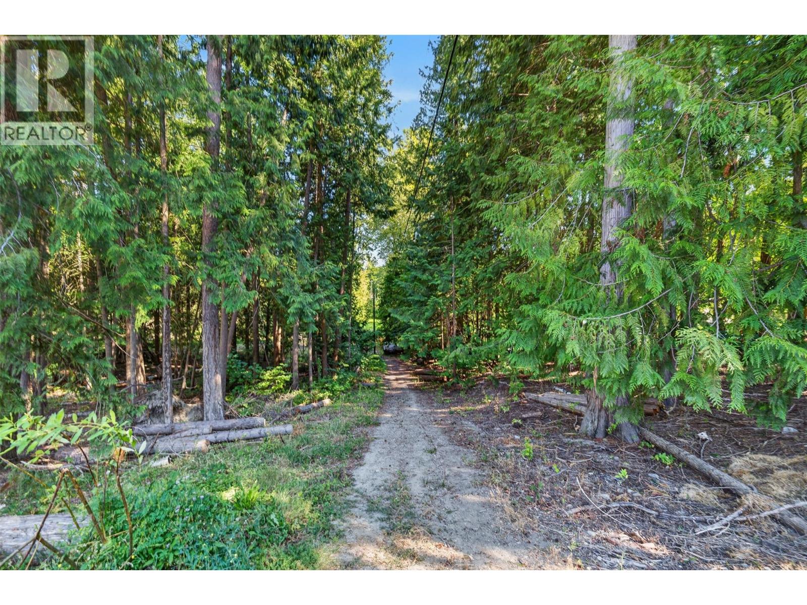 450 20 Avenue Sw, Salmon Arm, British Columbia  V1E 1T6 - Photo 61 - 10396607