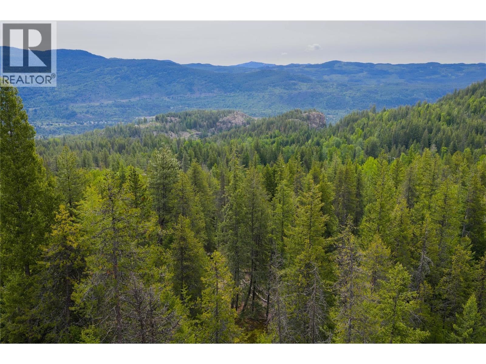 1682 Circle Road, Castlegar, British Columbia  V1N 4W1 - Photo 23 - 10396470