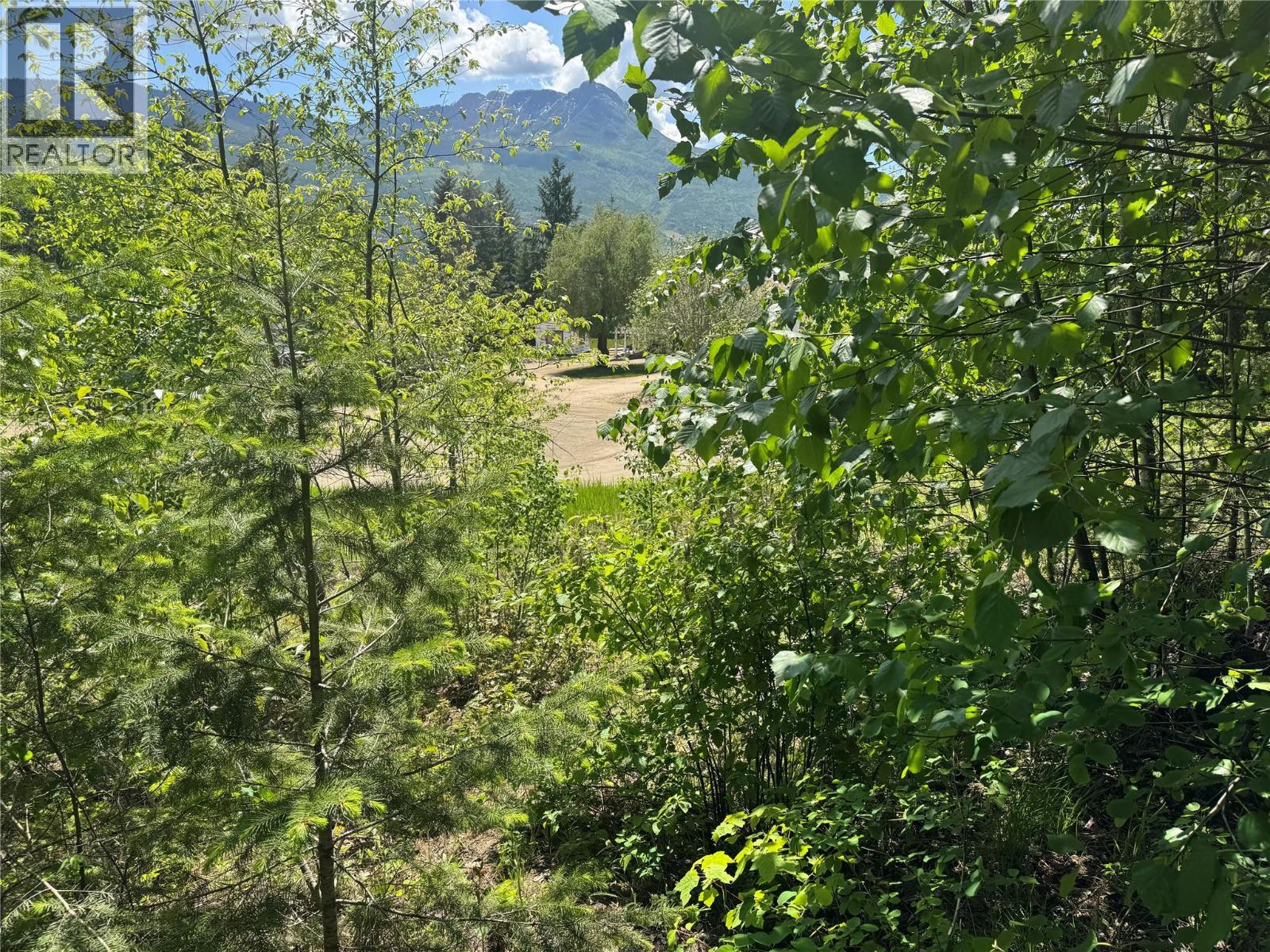 4981 5 Avenue Sw, Salmon Arm, British Columbia  V1E 2Y9 - Photo 10 - 10396141