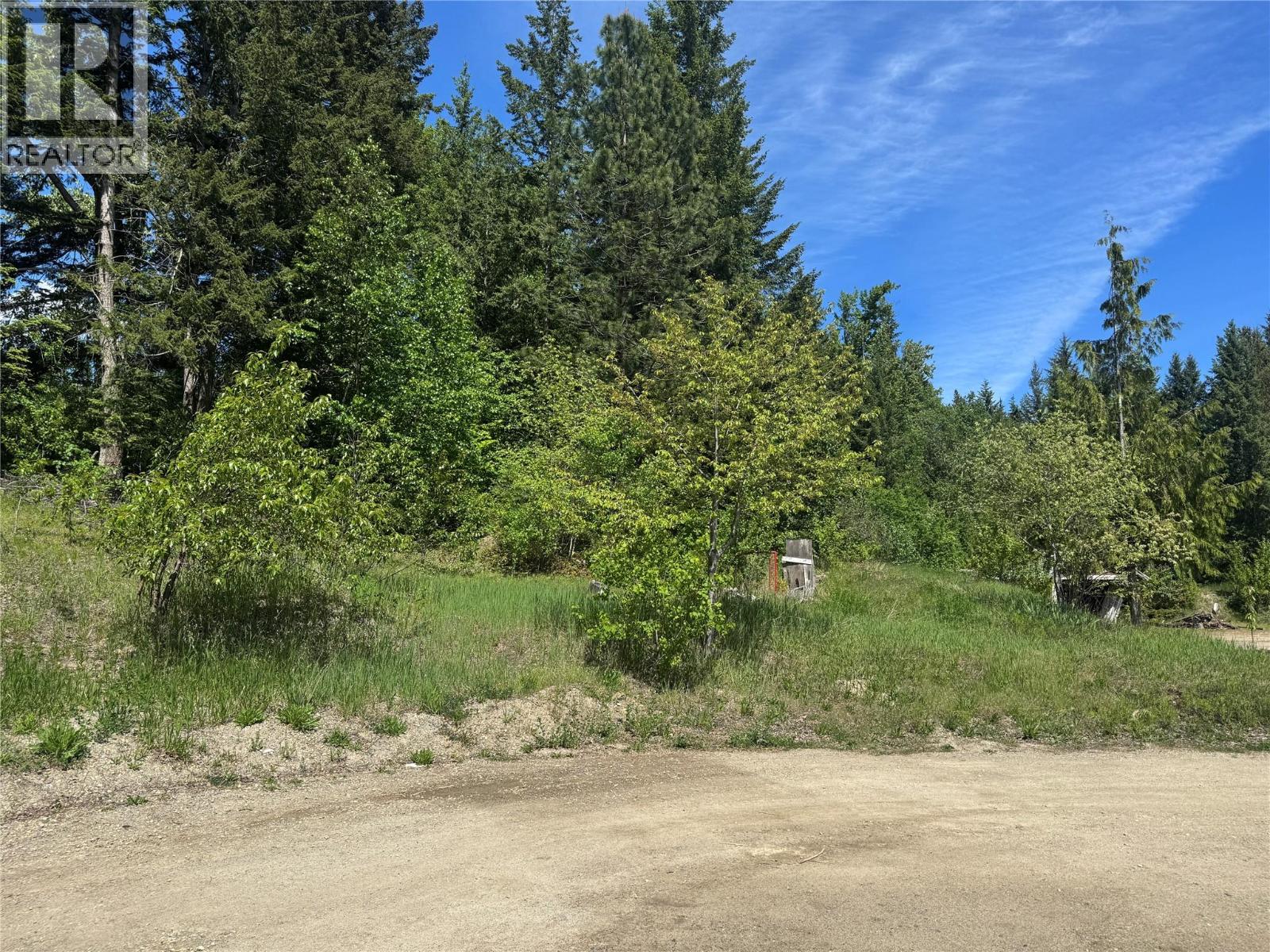 4981 5 Avenue Sw, Salmon Arm, British Columbia  V1E 2Y9 - Photo 11 - 10396141