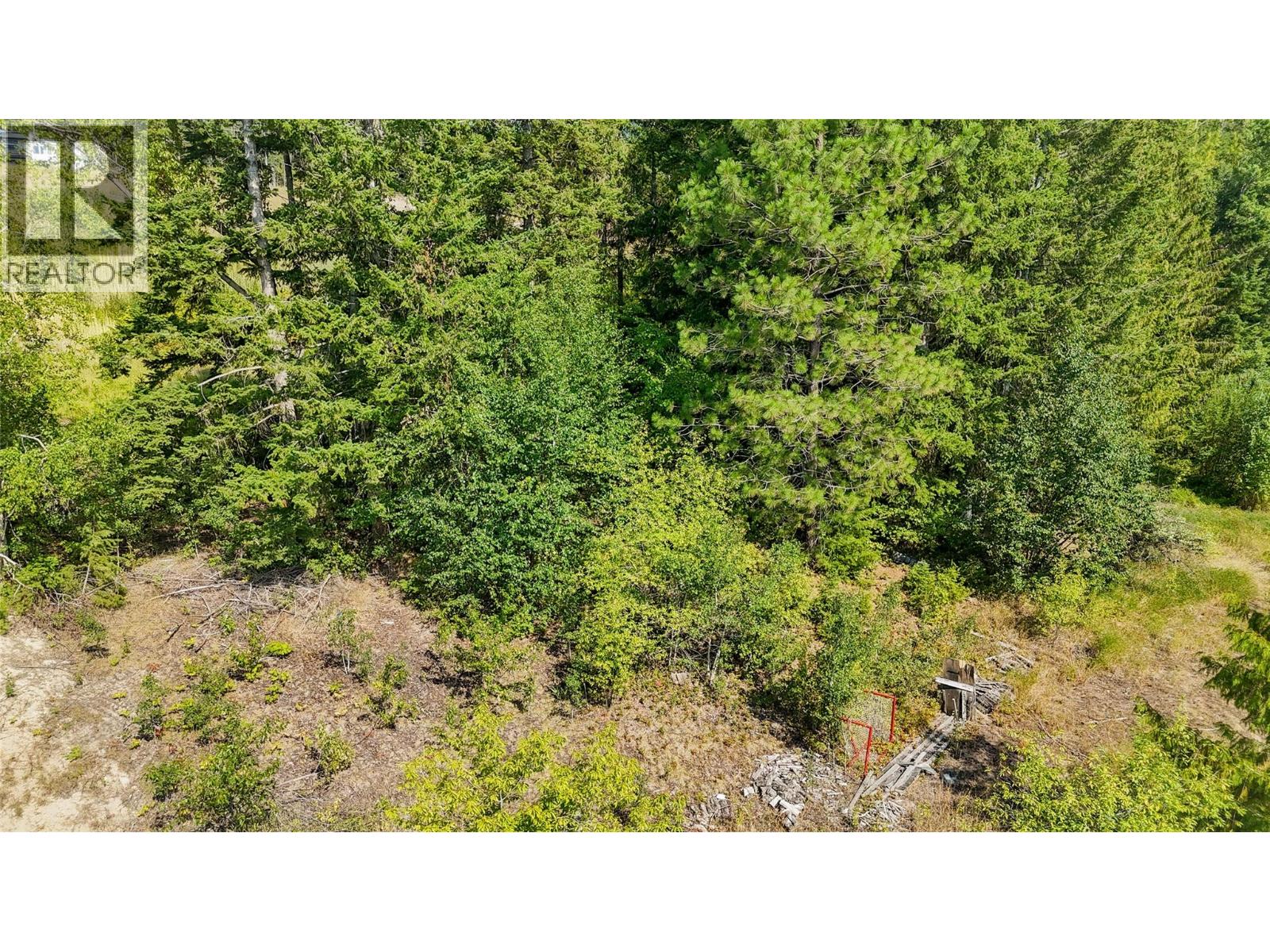 4981 5 Avenue Sw, Salmon Arm, British Columbia  V1E 2Y9 - Photo 3 - 10396141