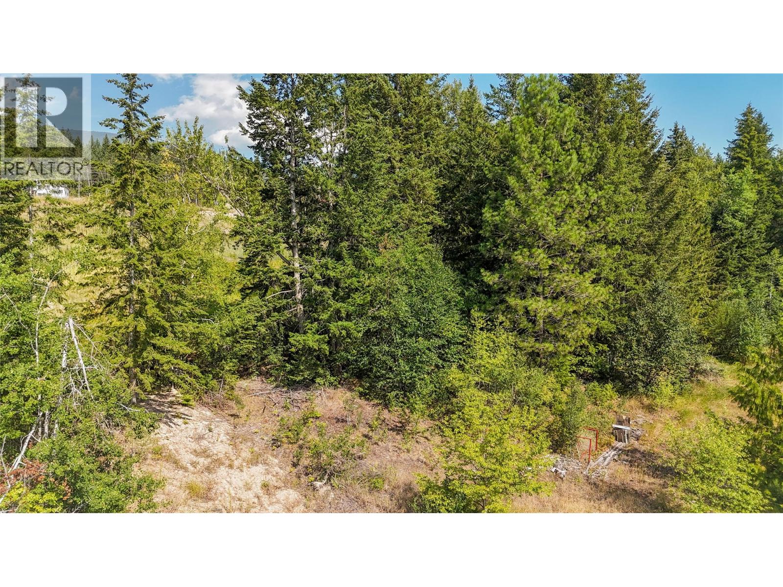 4981 5 Avenue Sw, Salmon Arm, British Columbia  V1E 2Y9 - Photo 4 - 10396141