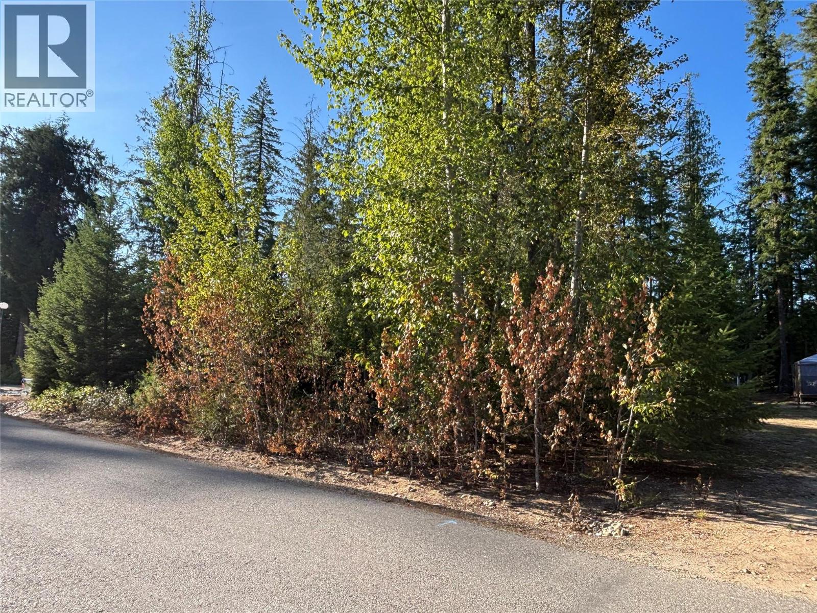 30 Lusk Lake Road Lot# 73, Enderby, British Columbia  V0E 1V5 - Photo 2 - 10396621