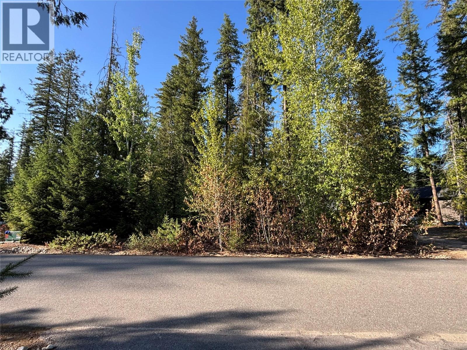 30 Lusk Lake Road Lot# 73, Enderby, British Columbia  V0E 1V5 - Photo 3 - 10396621
