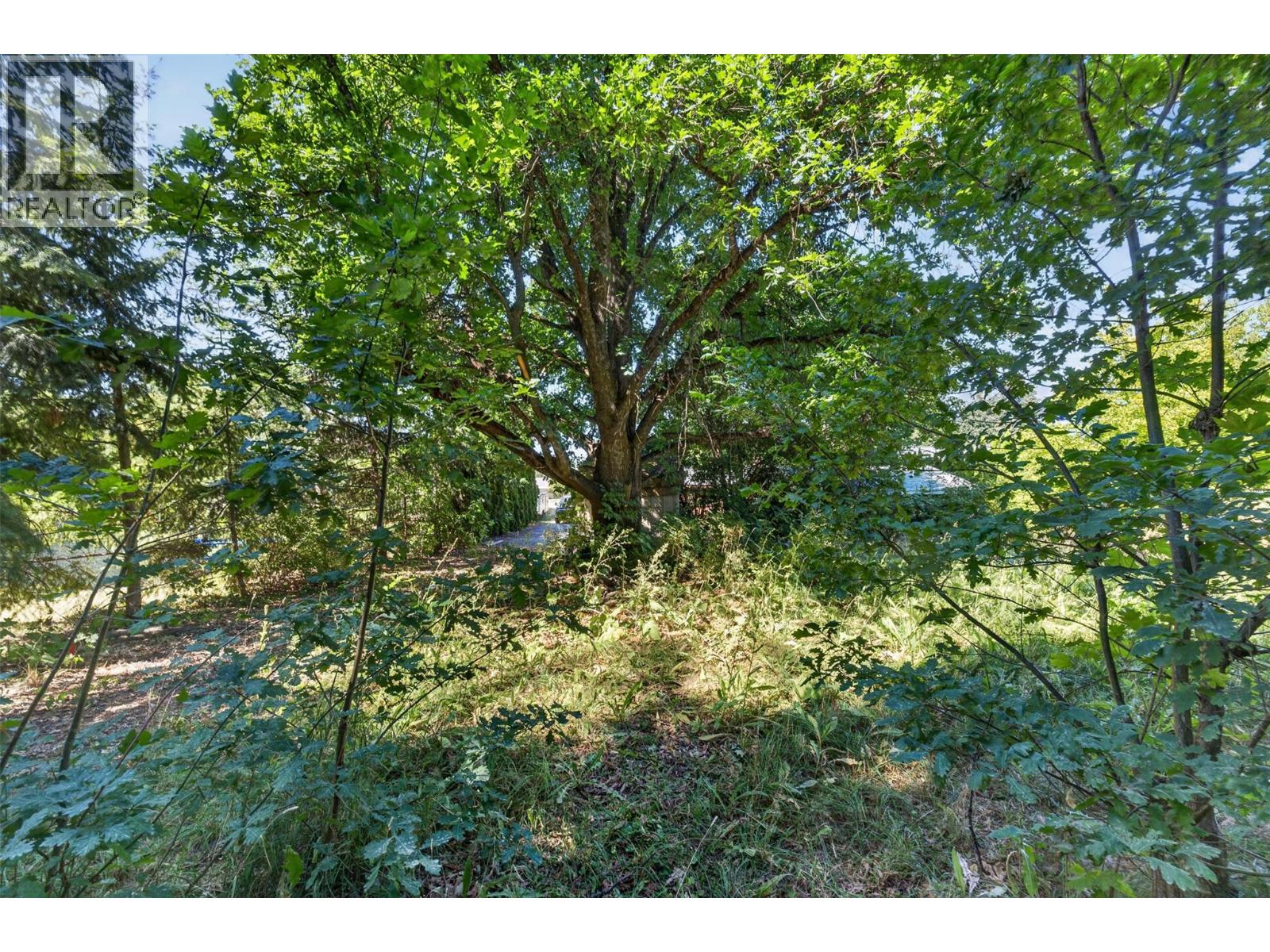 1260 16 Street Ne, Salmon Arm, British Columbia  V1E 2V1 - Photo 30 - 10396903