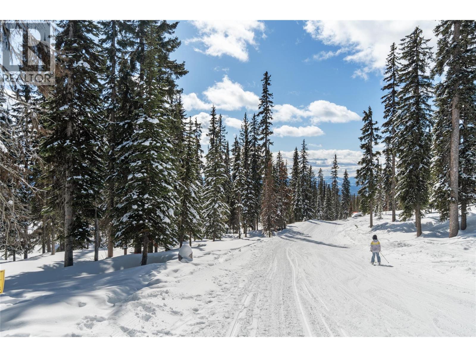 Black Forest Way Lot# 5, Big White, British Columbia  V1P 1P3 - Photo 18 - 10396978