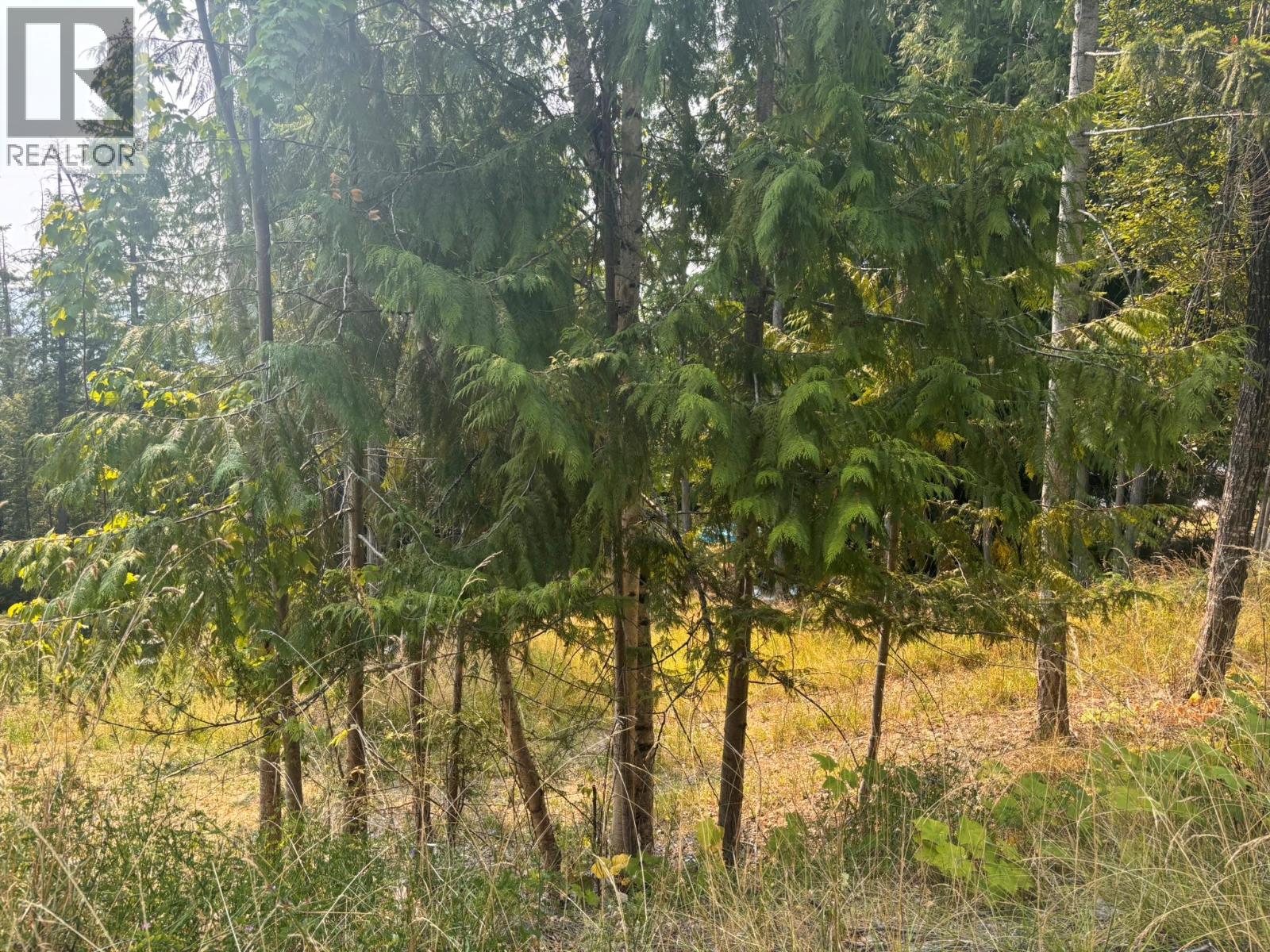 Lot 170 Estate Close, Anglemont, British Columbia  V0E 1M8 - Photo 1 - 10397038