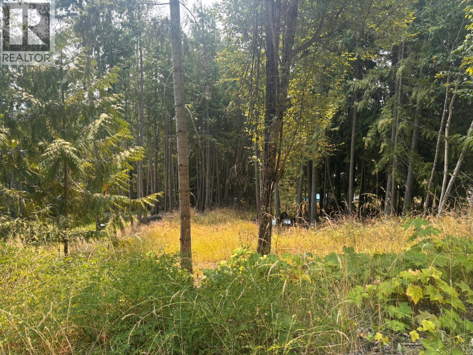Lot 170 Estate Close, Anglemont, British Columbia  V0E 1M8 - Photo 2 - 10397038