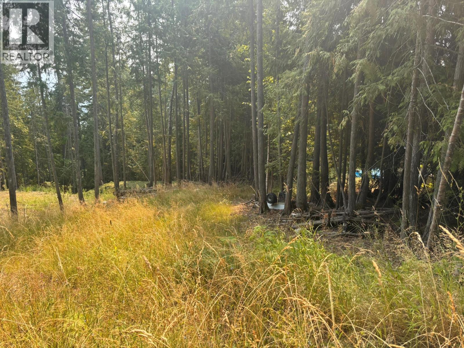 Lot 170 Estate Close, Anglemont, British Columbia  V0E 1M8 - Photo 3 - 10397038