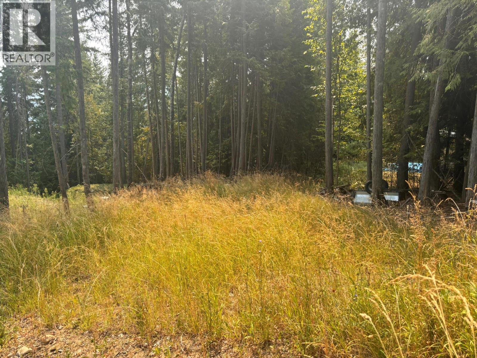 Lot 170 Estate Close, Anglemont, British Columbia  V0E 1M8 - Photo 4 - 10397038
