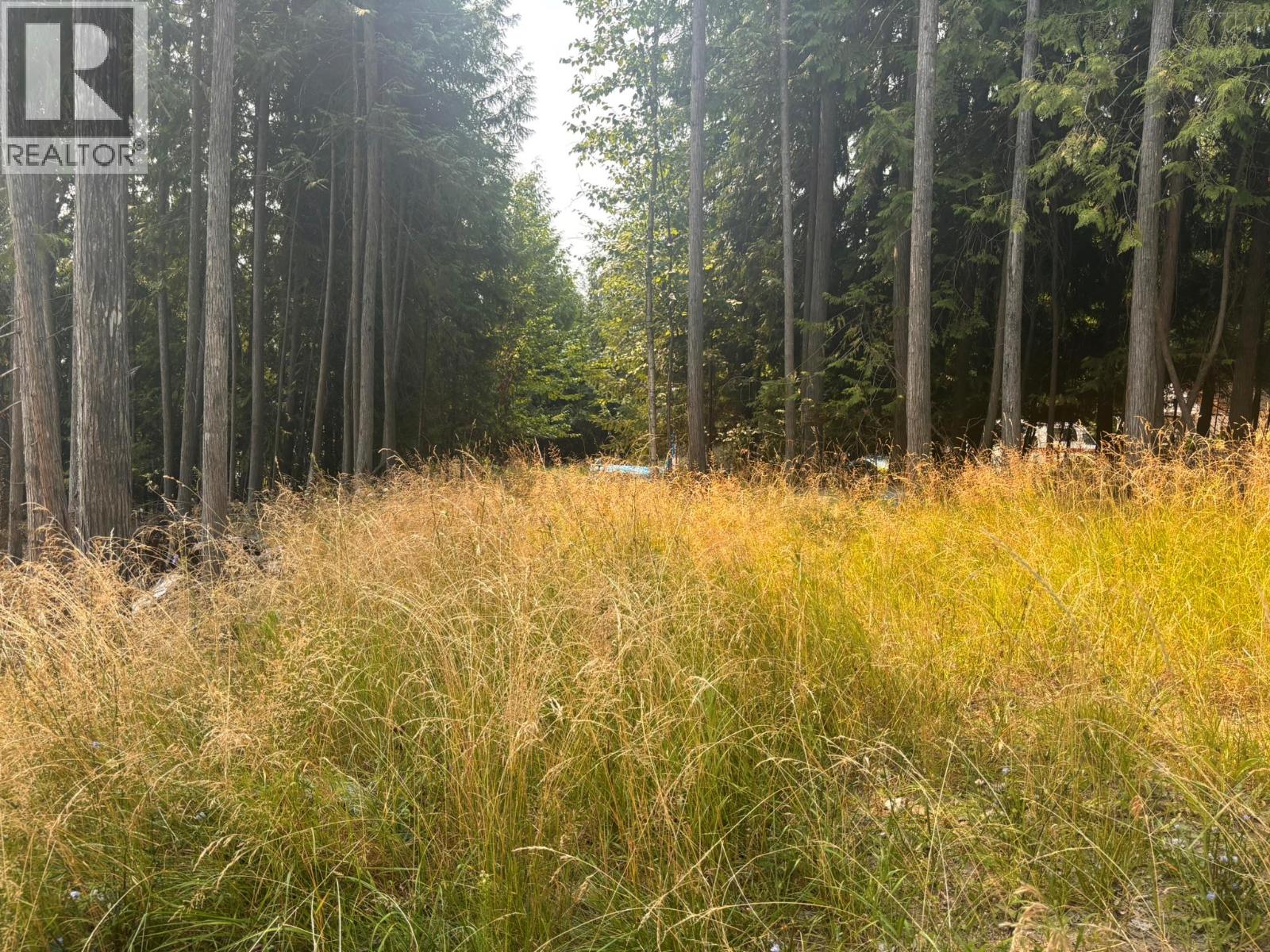 Lot 170 Estate Close, Anglemont, British Columbia  V0E 1M8 - Photo 5 - 10397038