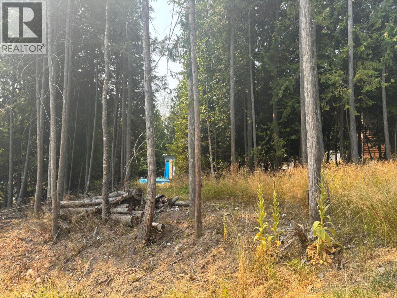 Lot 170 Estate Close, Anglemont, British Columbia  V0E 1M8 - Photo 6 - 10397038