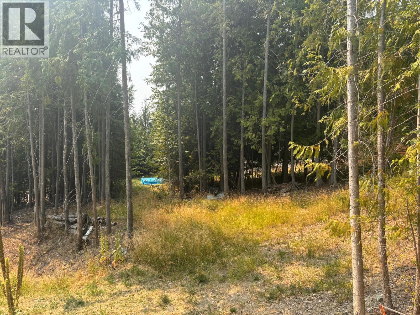 Lot 170 Estate Close, Anglemont, British Columbia  V0E 1M8 - Photo 8 - 10397038