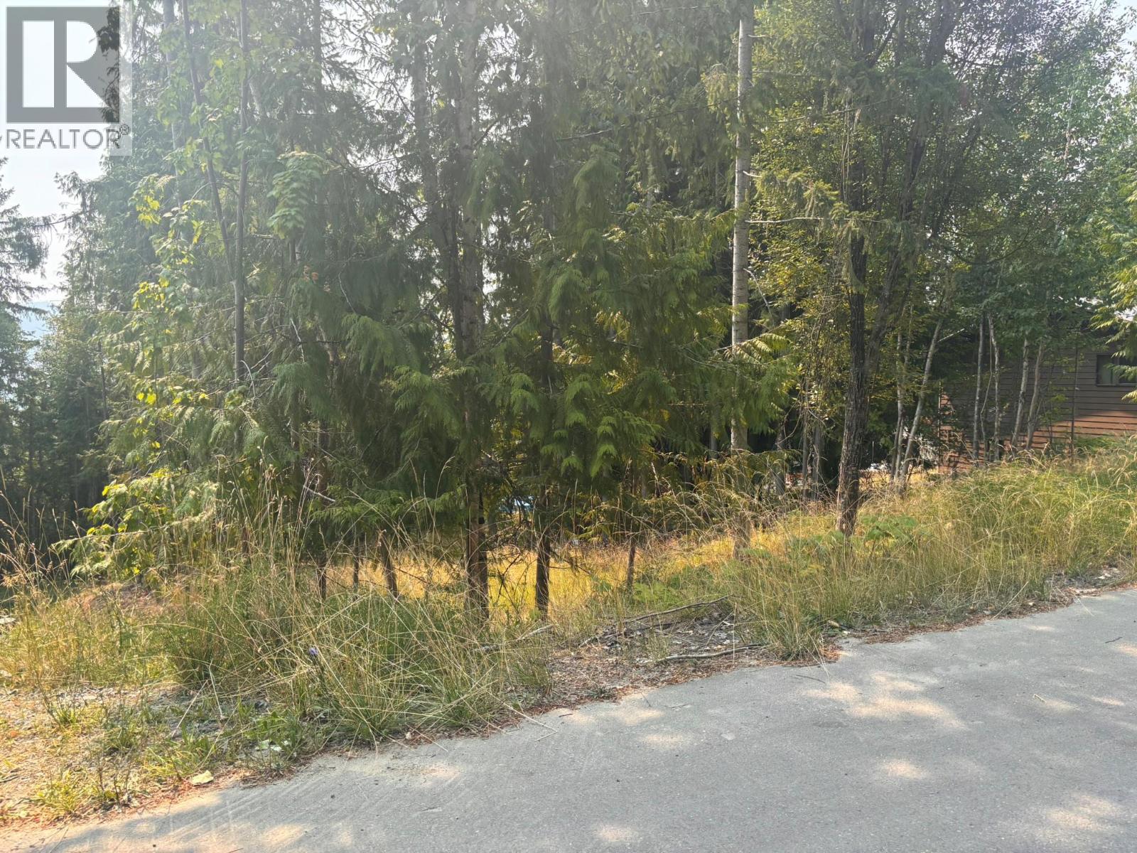 Lot 170 Estate Close, Anglemont, British Columbia  V0E 1M8 - Photo 9 - 10397038