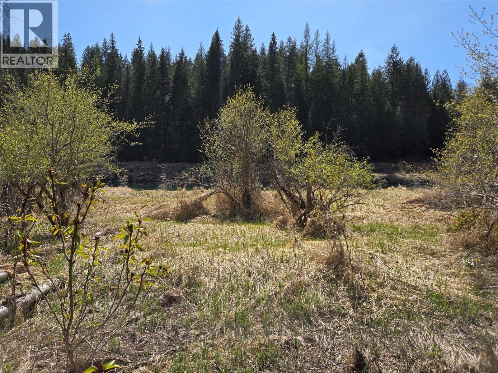 6268 Picard Road, Appledale, British Columbia  V0G 2J0 - Photo 25 - 10397027