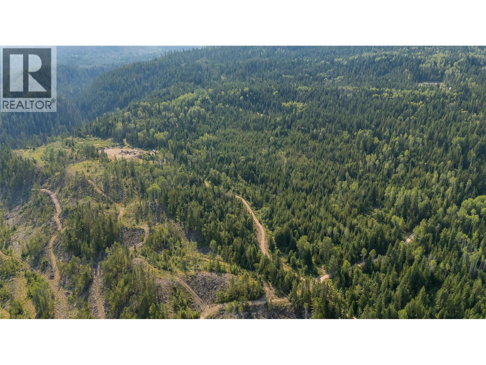 Lot 1 Elliot Forest Service Road, Lemon Creek, British Columbia  V0G 2C0 - Photo 2 - 10396677