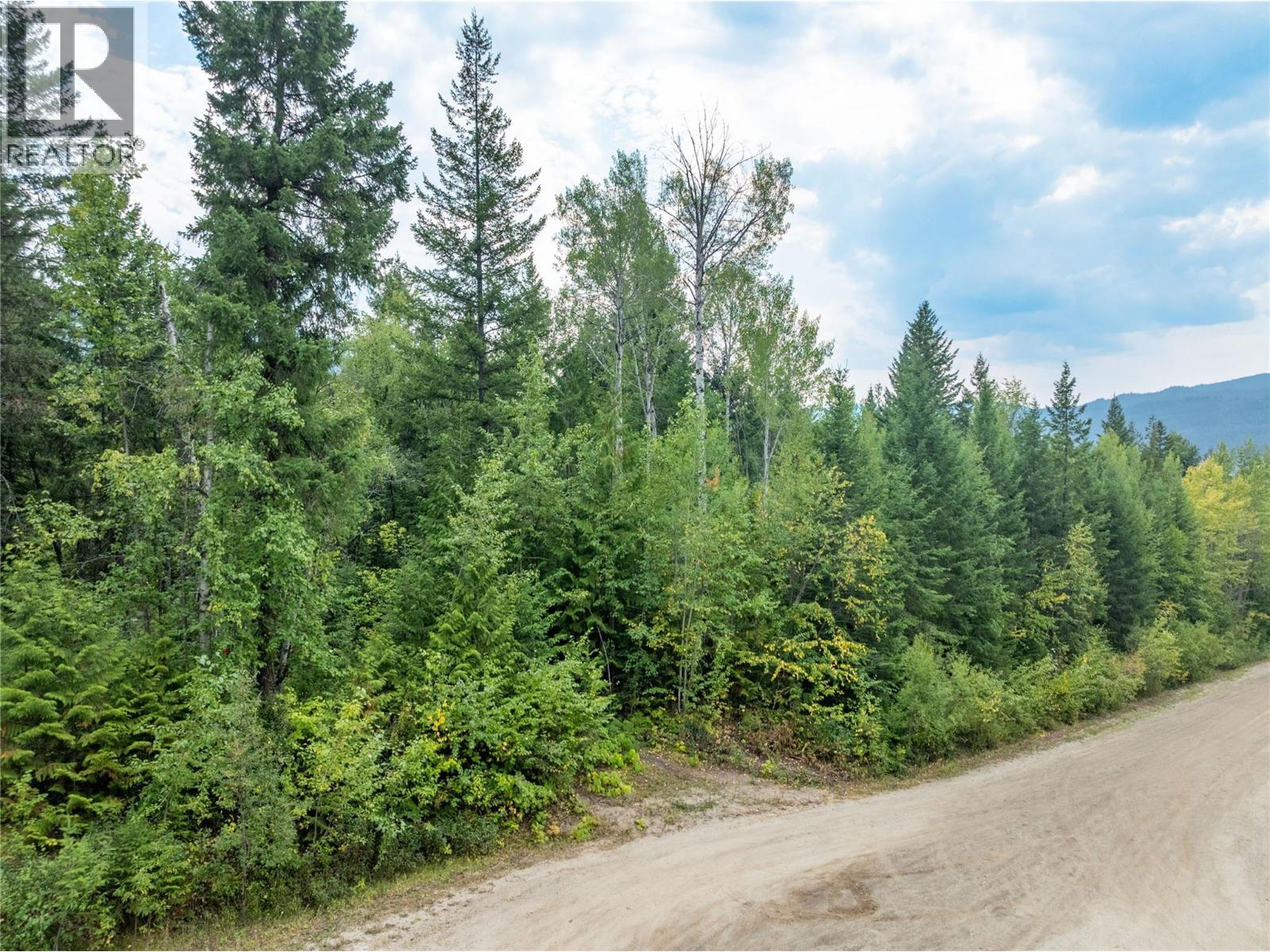 8588 Black Mountain Road, Chase, British Columbia  V0E 1M0 - Photo 10 - 10397053