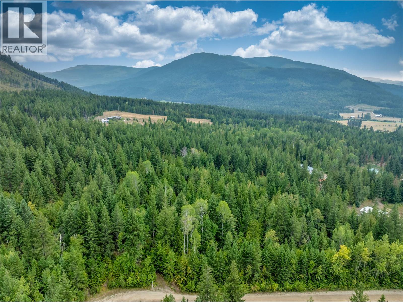 8588 Black Mountain Road, Chase, British Columbia  V0E 1M0 - Photo 11 - 10397053