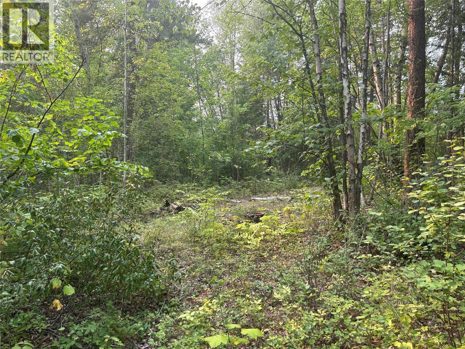 8588 Black Mountain Road, Chase, British Columbia  V0E 1M0 - Photo 16 - 10397053