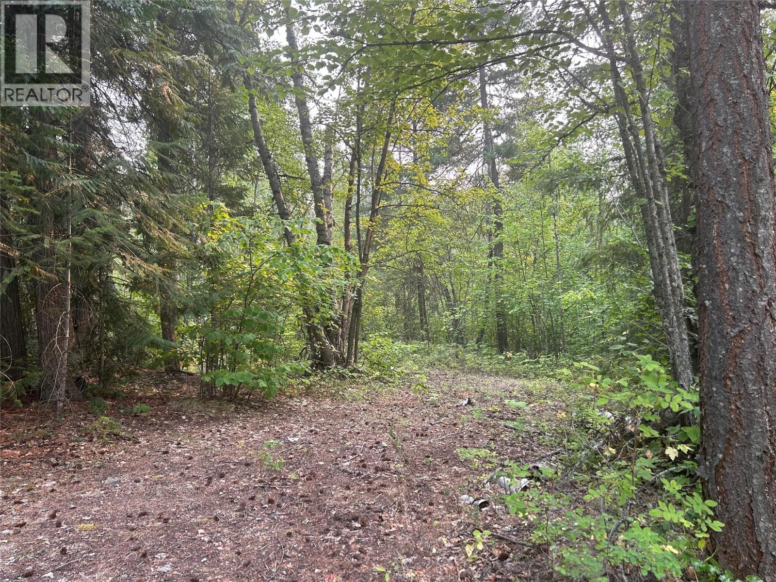 8588 Black Mountain Road, Chase, British Columbia  V0E 1M0 - Photo 17 - 10397053