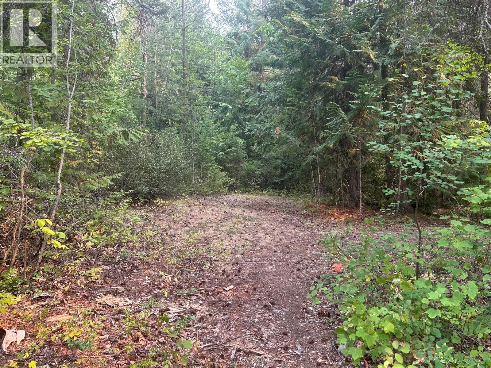 8588 Black Mountain Road, Chase, British Columbia  V0E 1M0 - Photo 18 - 10397053