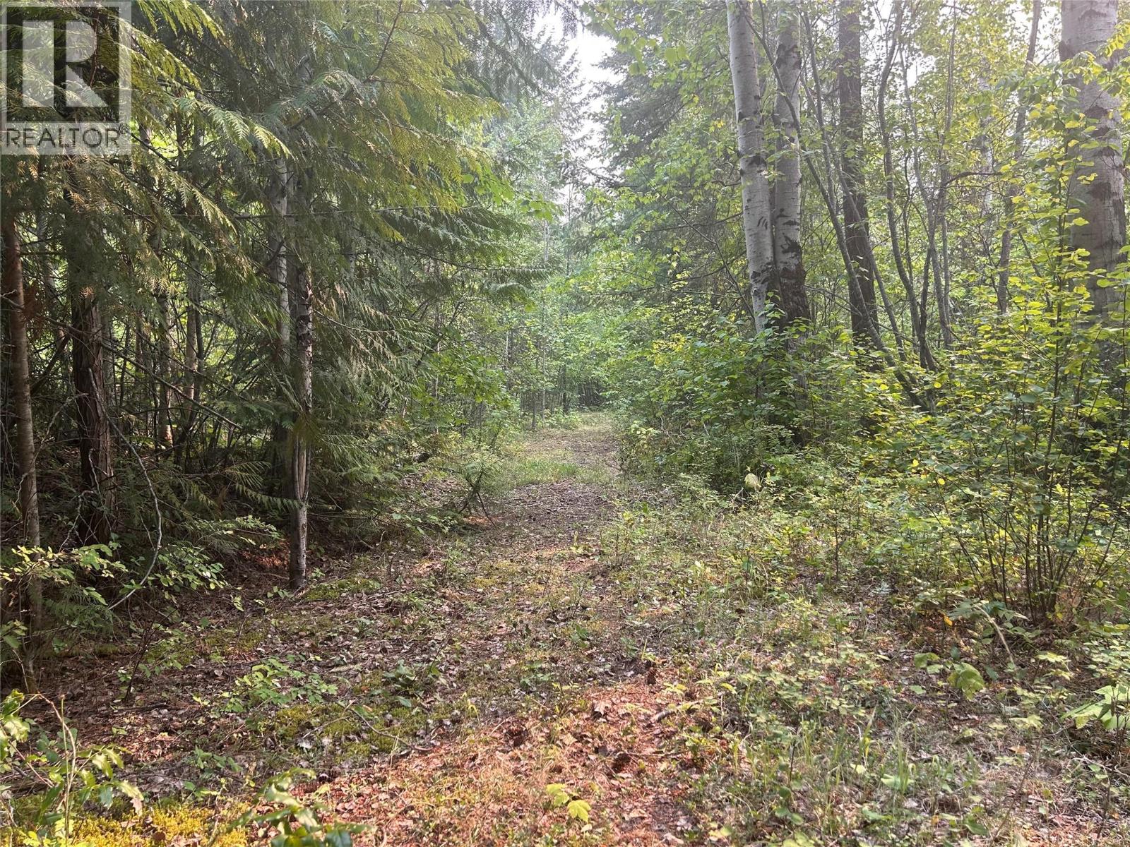 8588 Black Mountain Road, Chase, British Columbia  V0E 1M0 - Photo 19 - 10397053