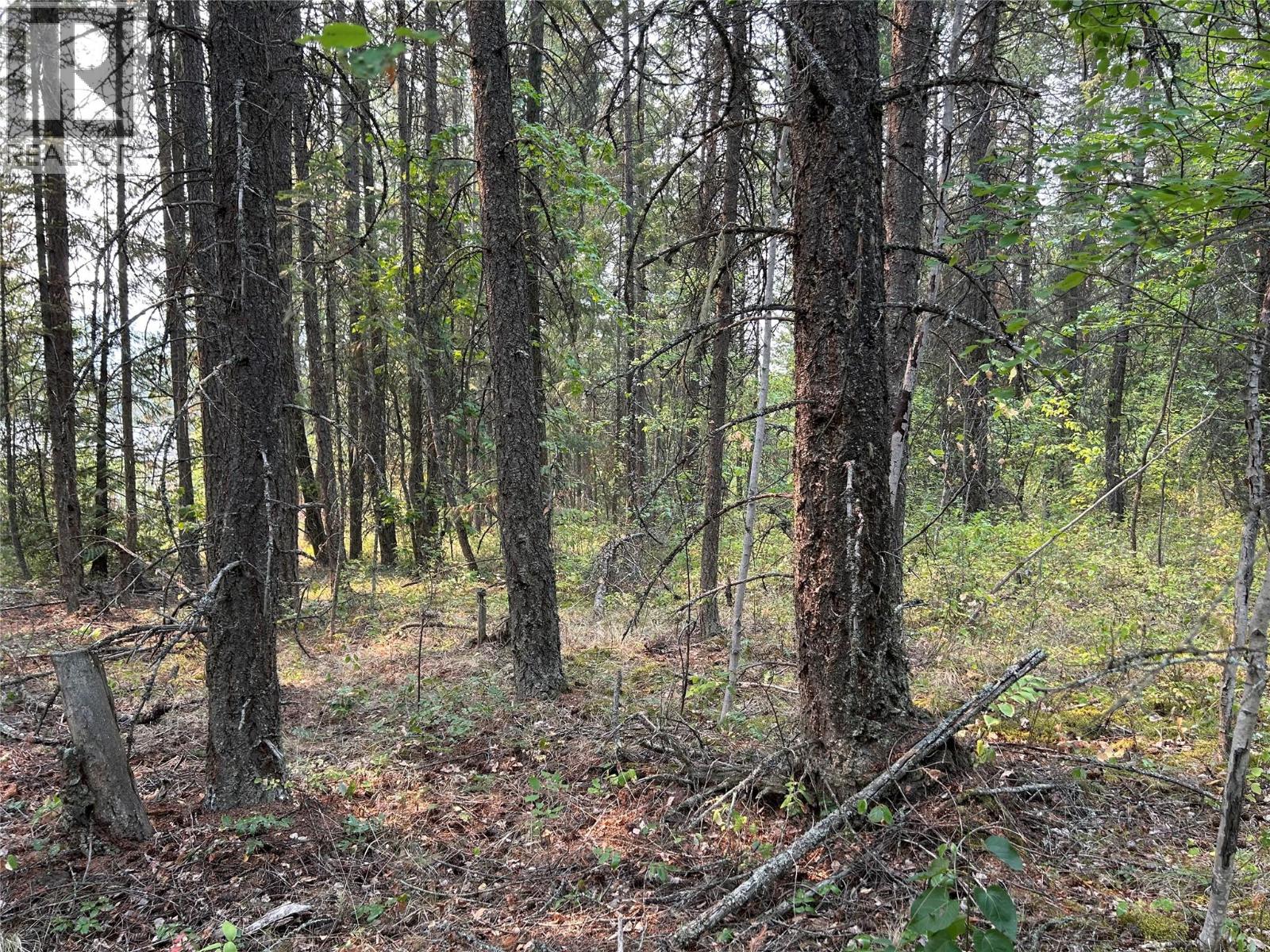 8568 Black Mountain Road, Chase, British Columbia  V0E 1M0 - Photo 11 - 10396942
